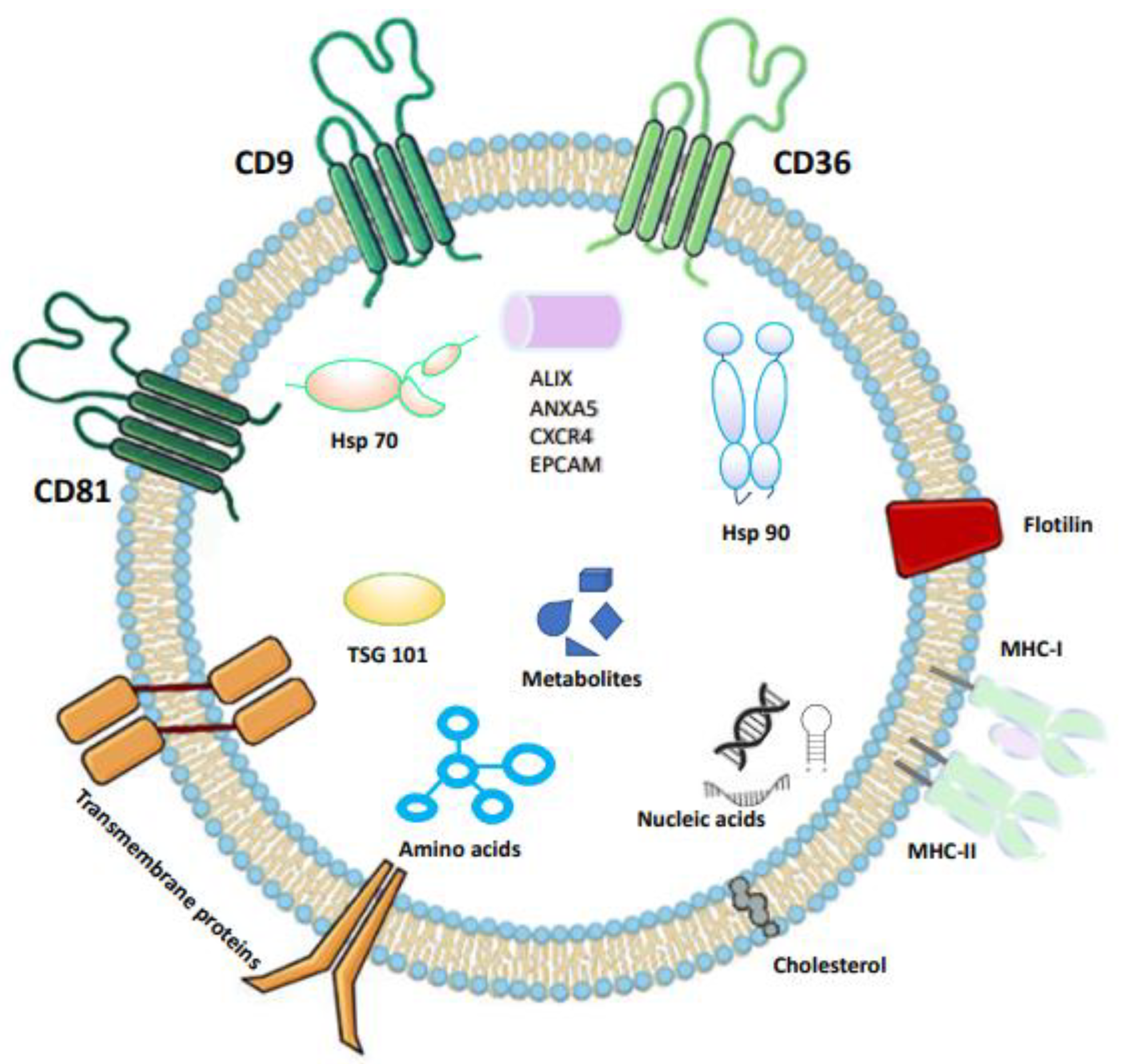Viruses 15 01976 g003