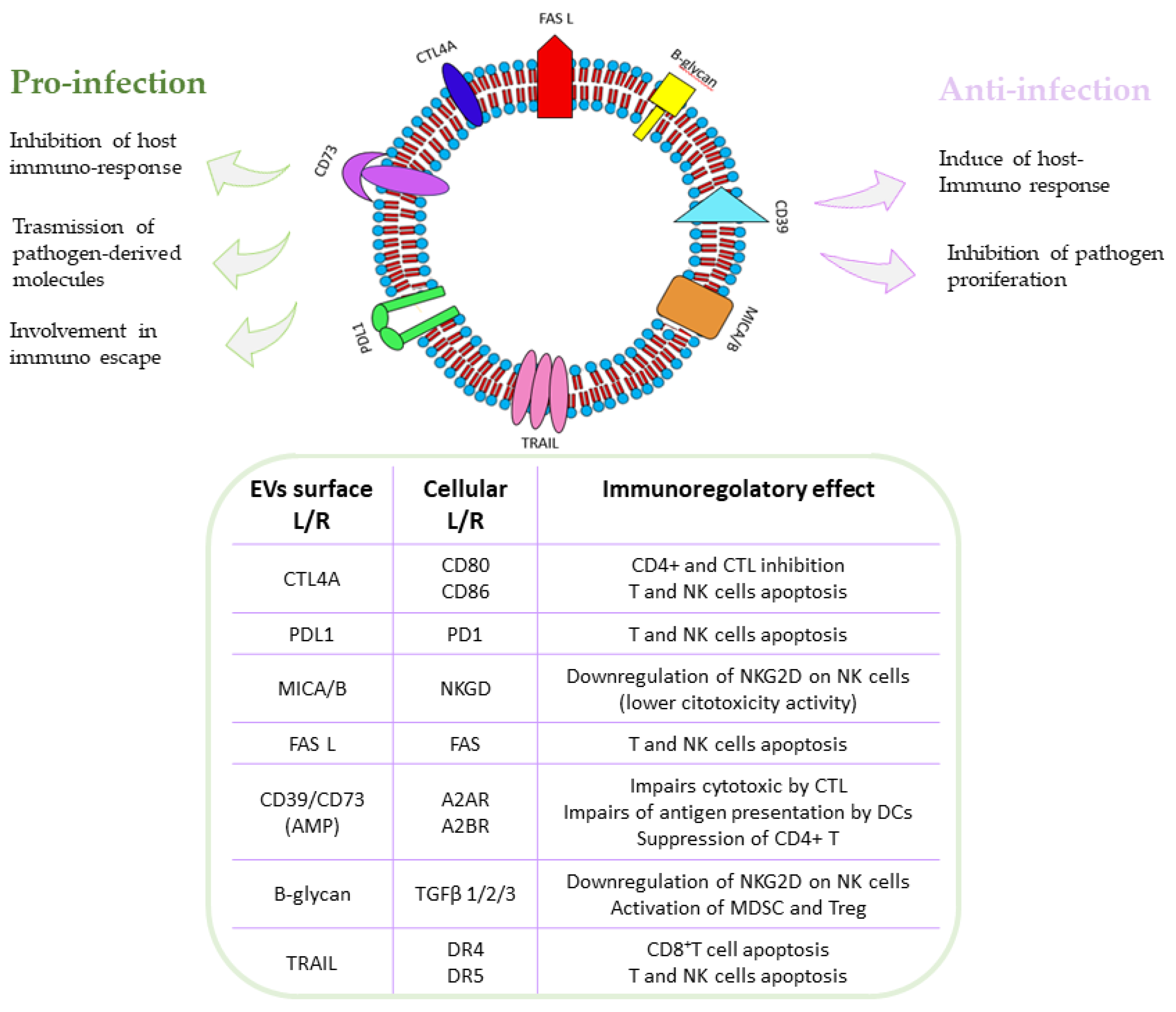 Viruses 15 01976 g005