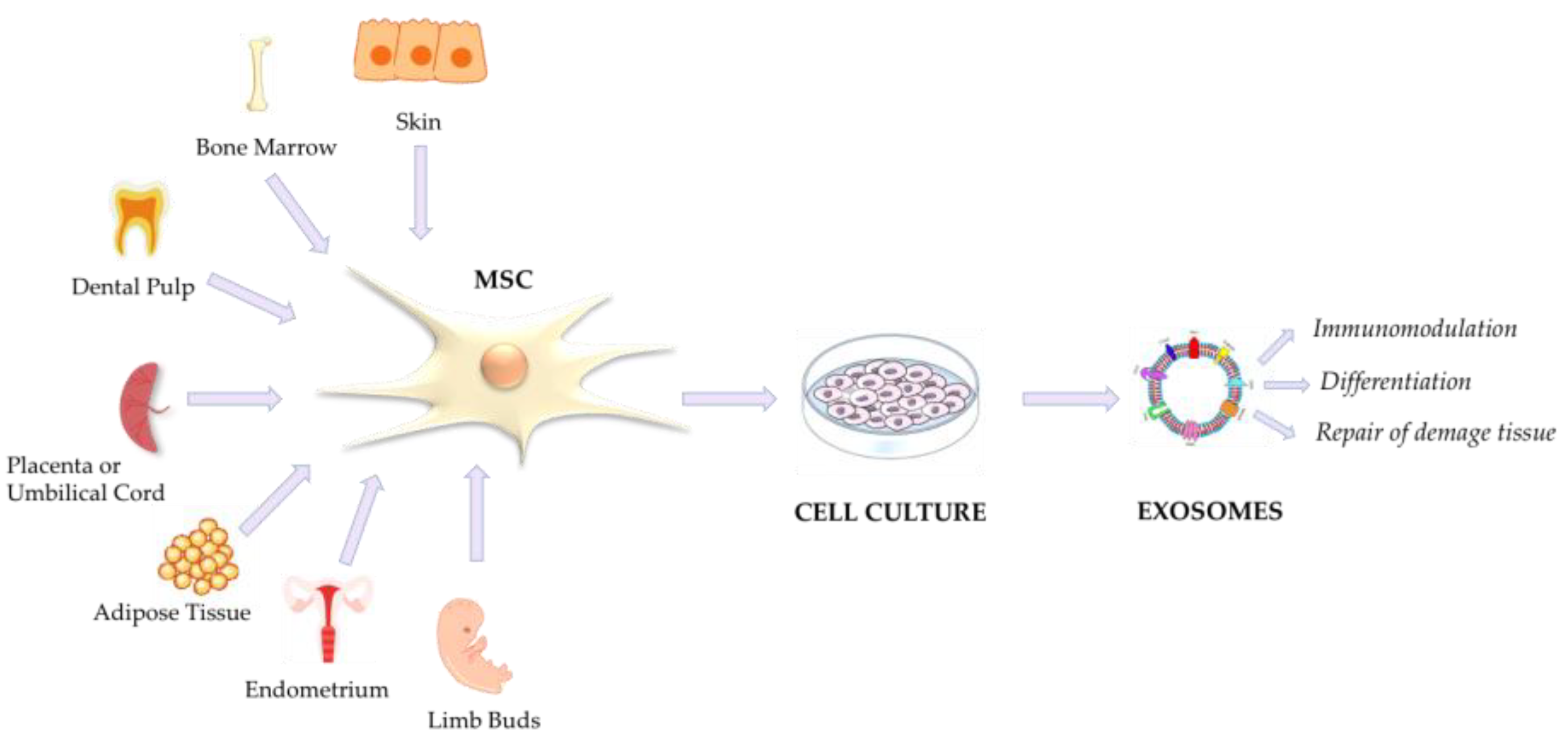 Viruses 15 01976 g006