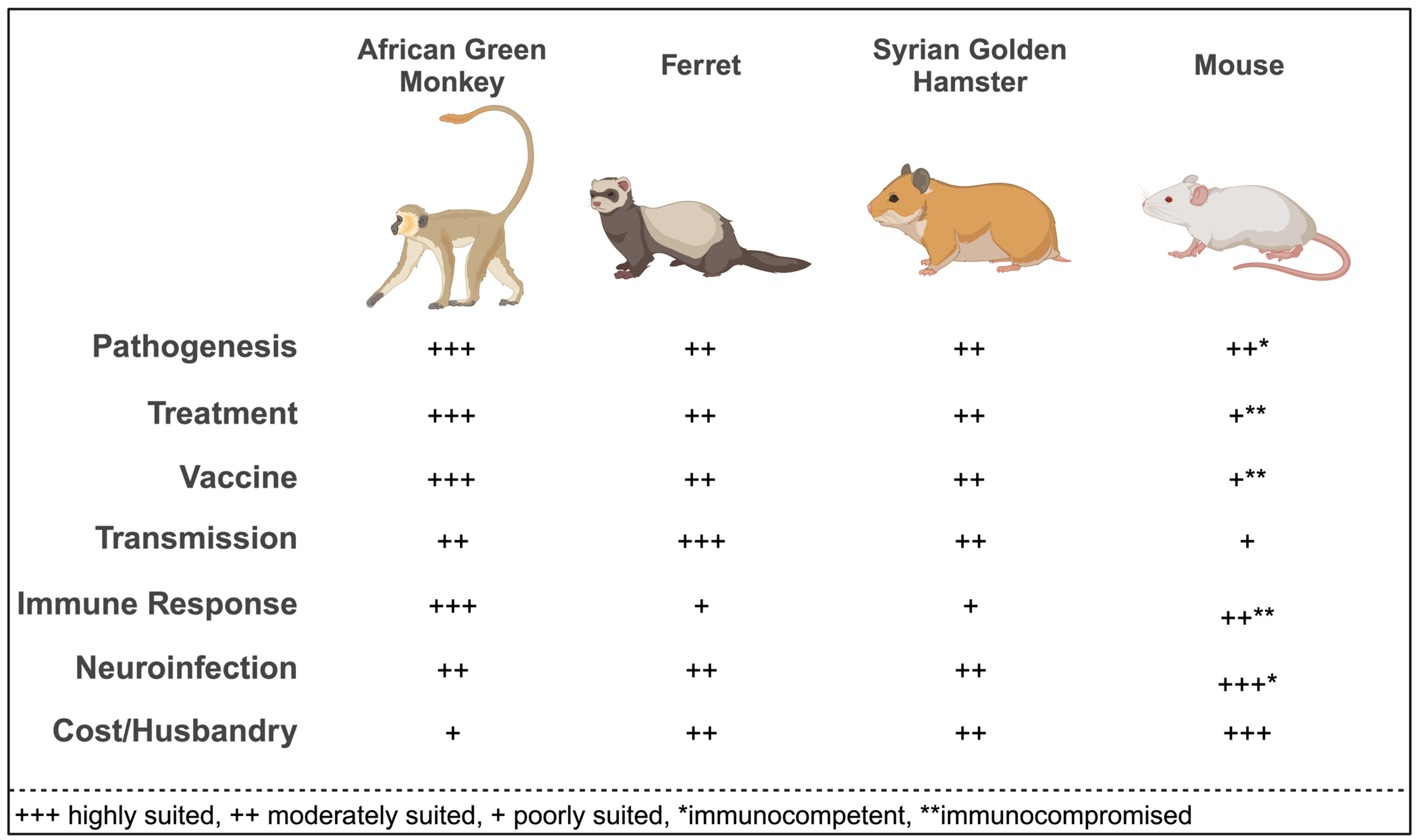 The Revolving Door Of Disease Between Humans And Animals | WisContext