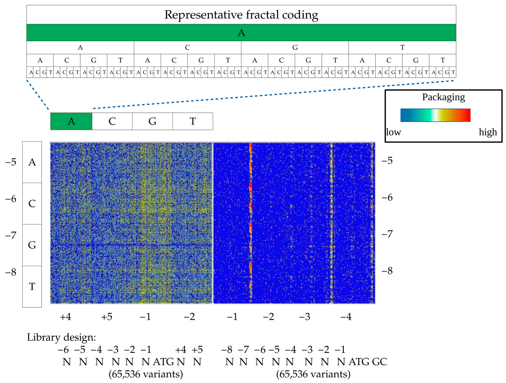 Viruses 15 01983 g002