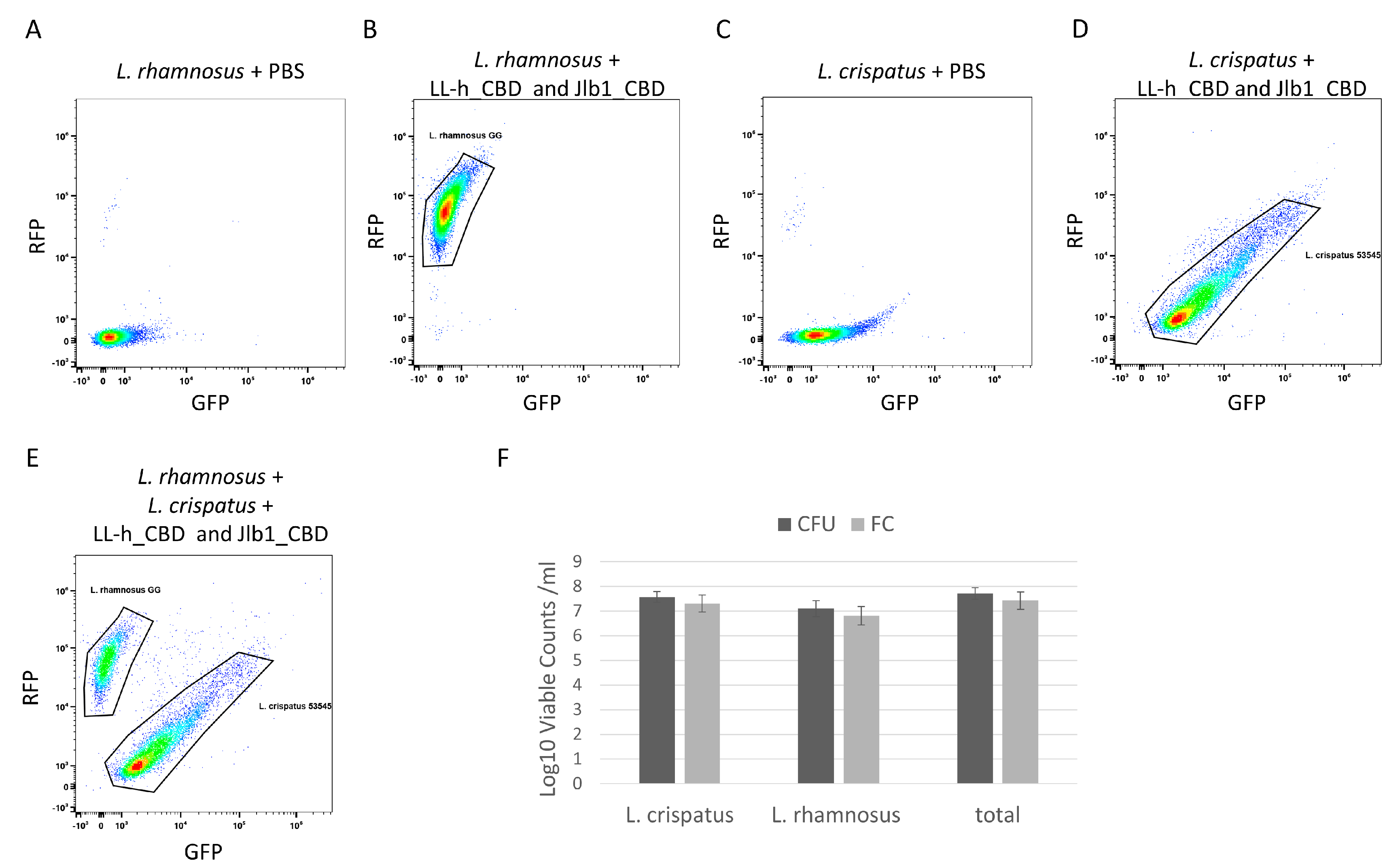 Viruses 15 01986 g004