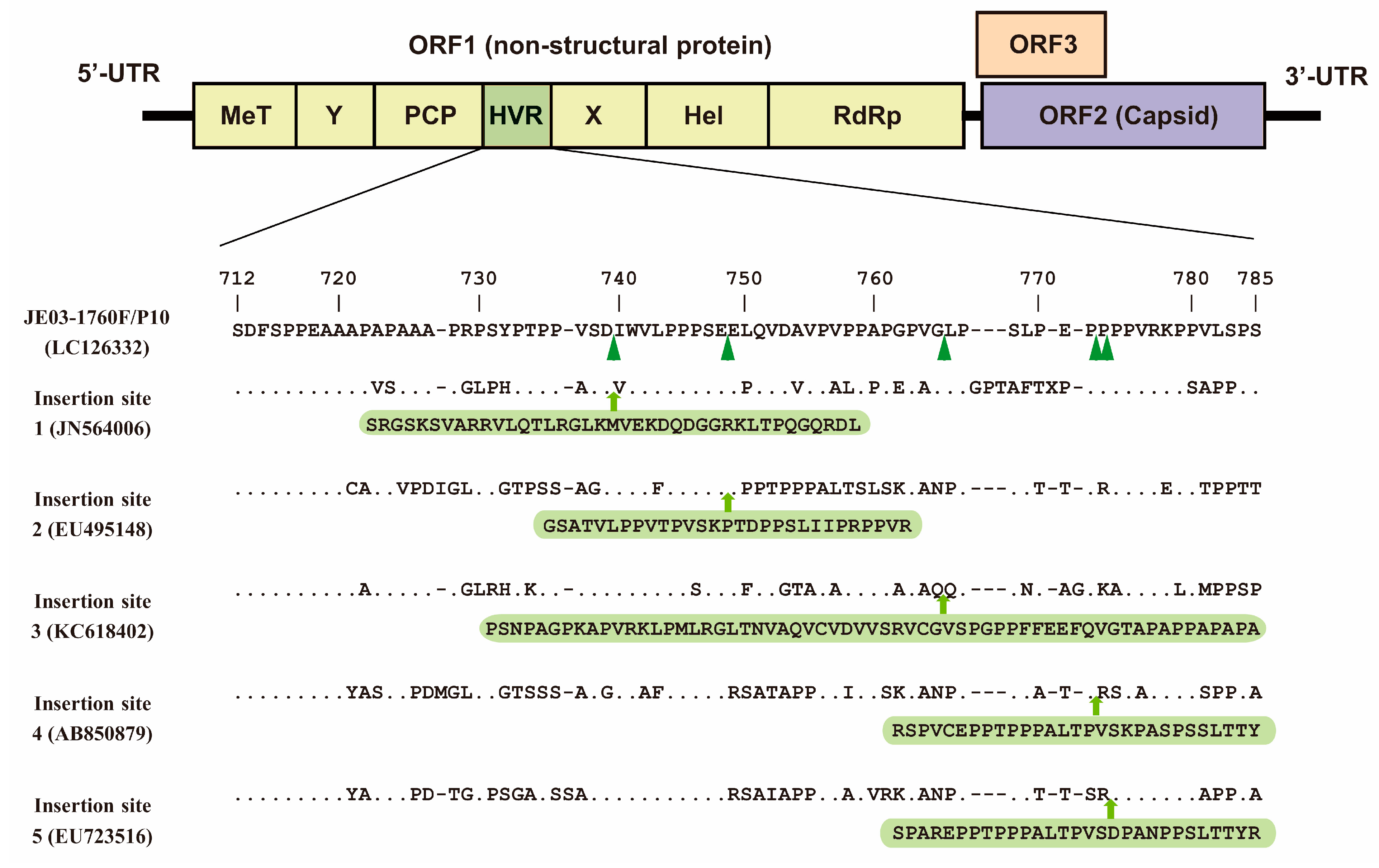 Viruses 15 01989 g003
