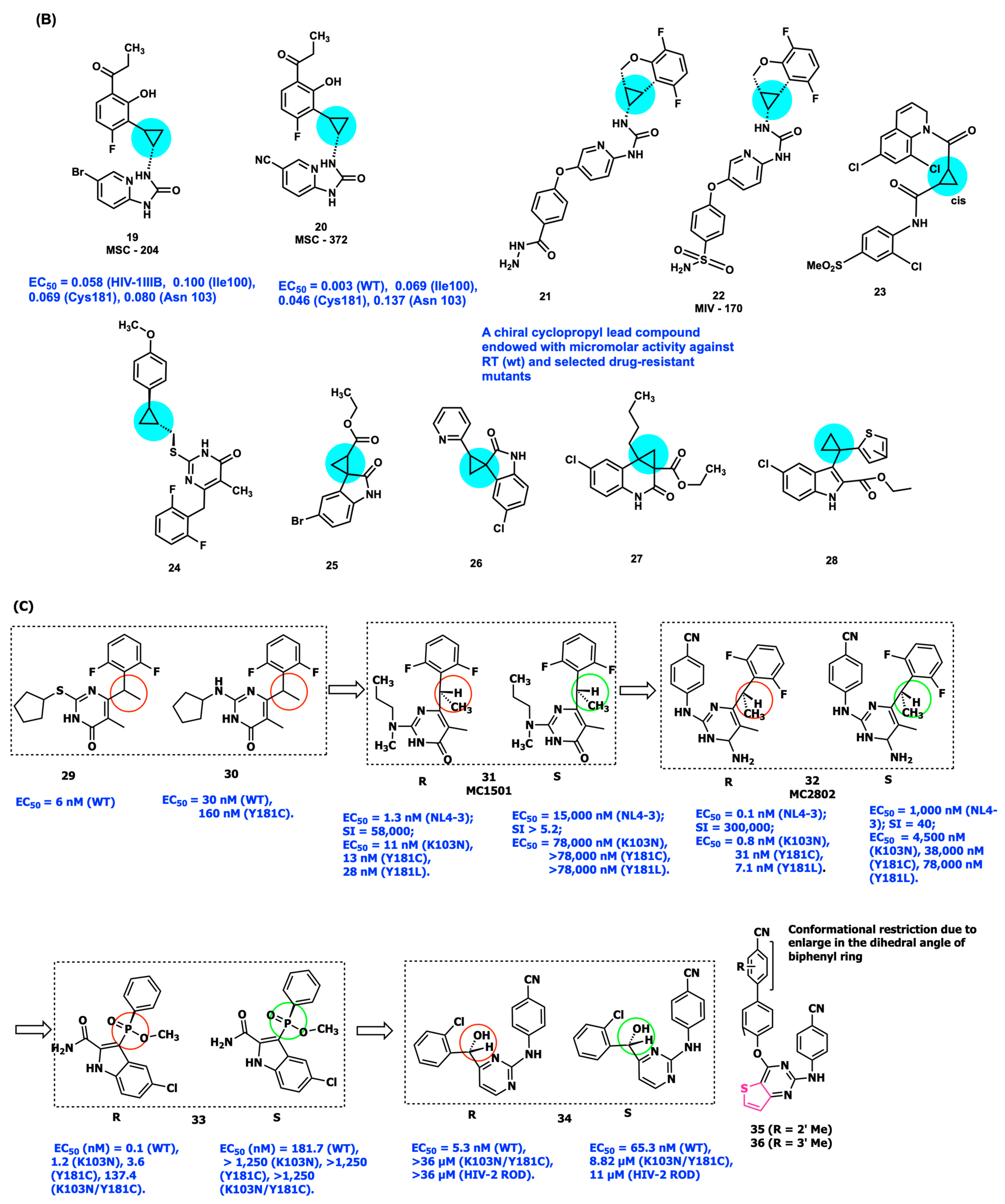 Viruses 15 01992 g004b Viruses 15 01992 g004b