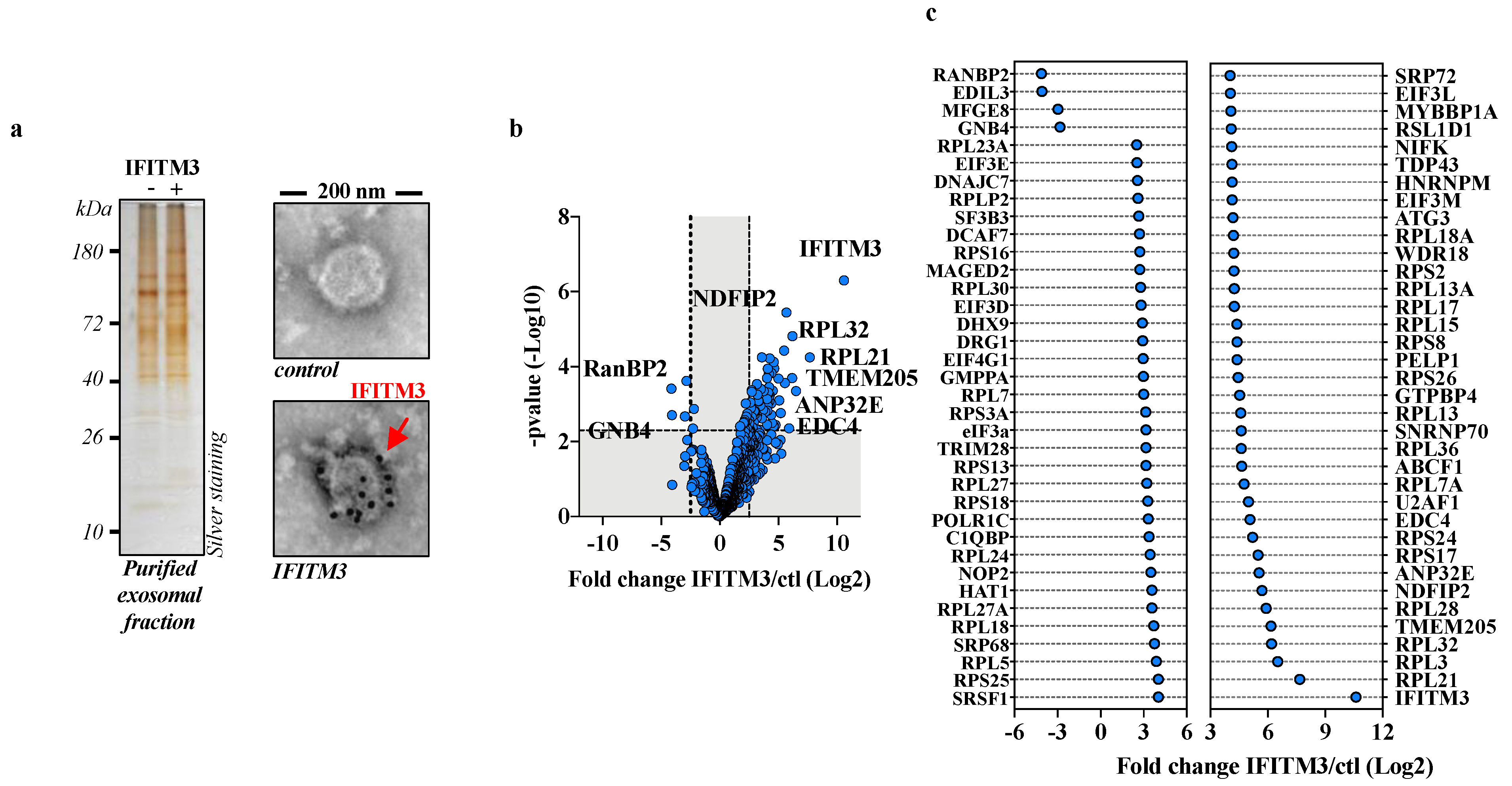 Viruses 15 01993 g001