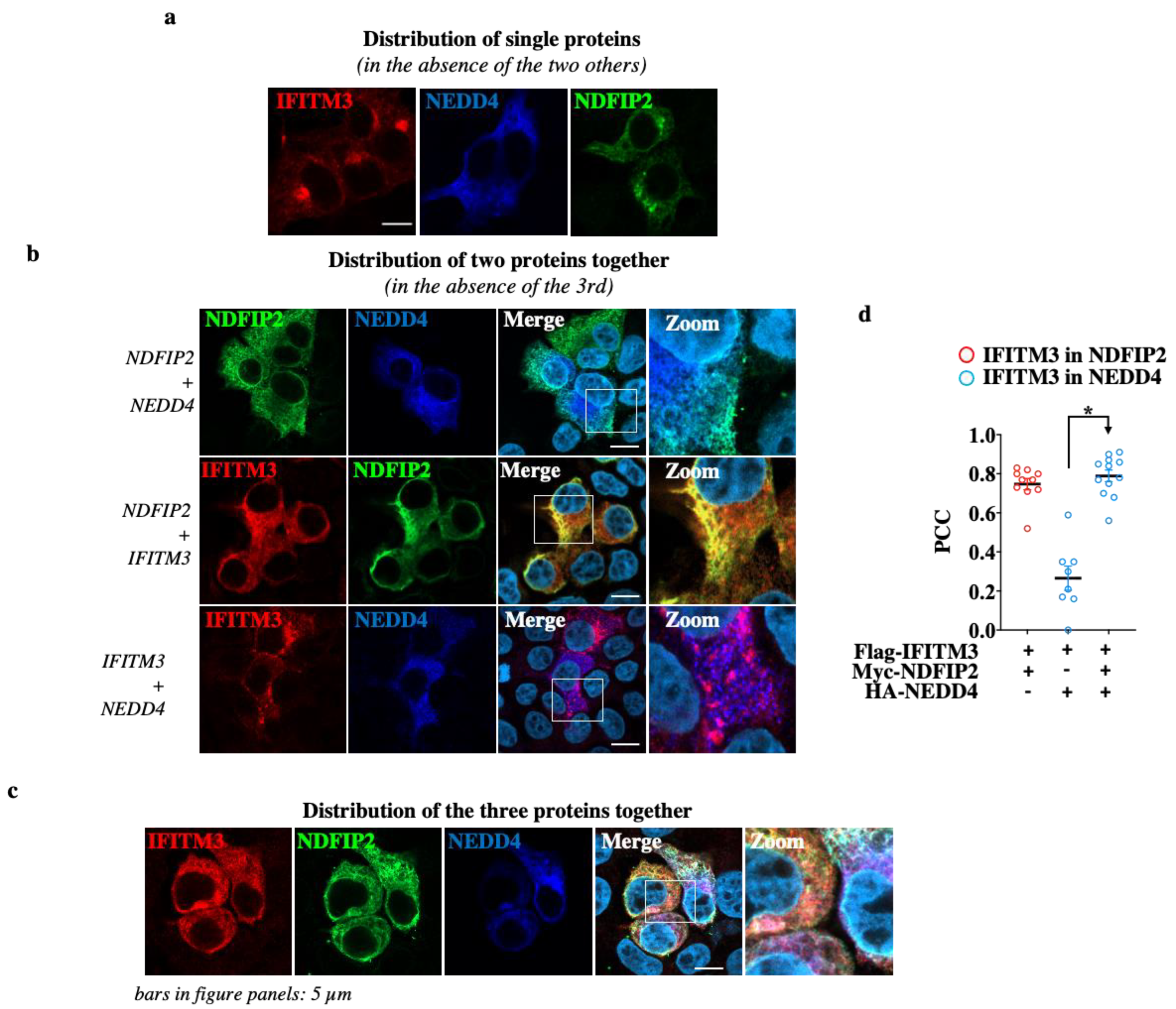 Viruses 15 01993 g004