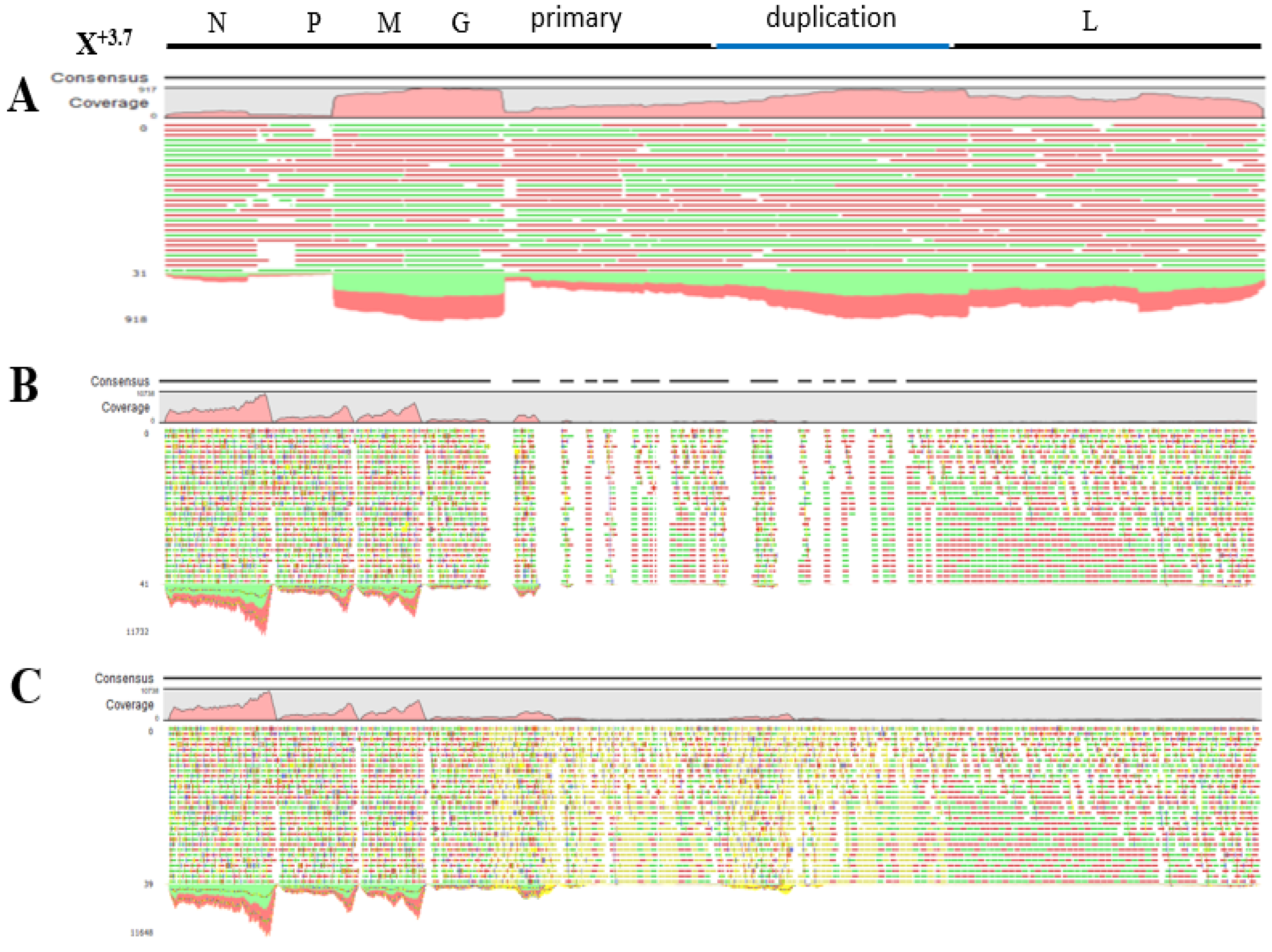 Viruses 15 01998 g004