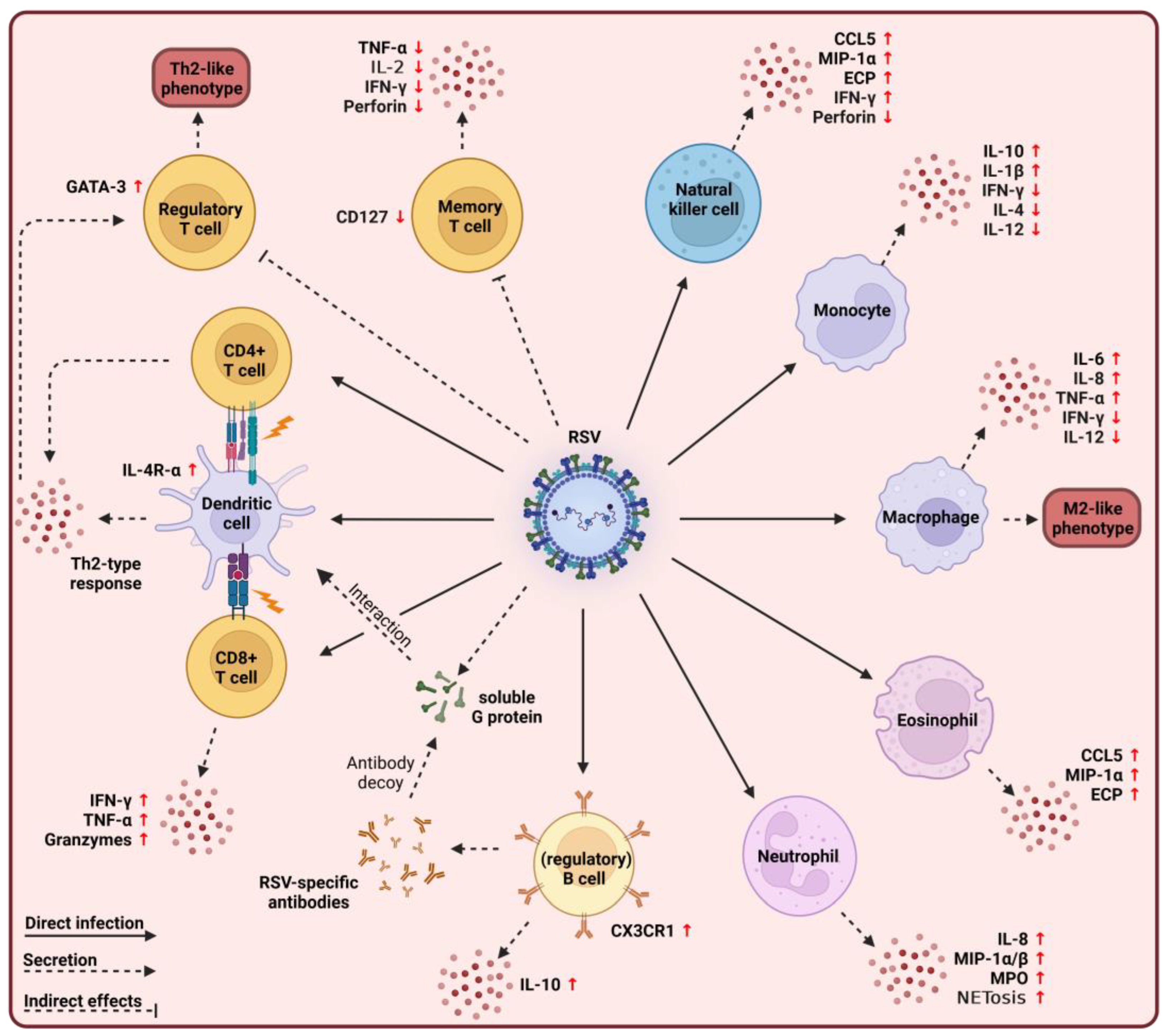 Viruses 15 01999 g003