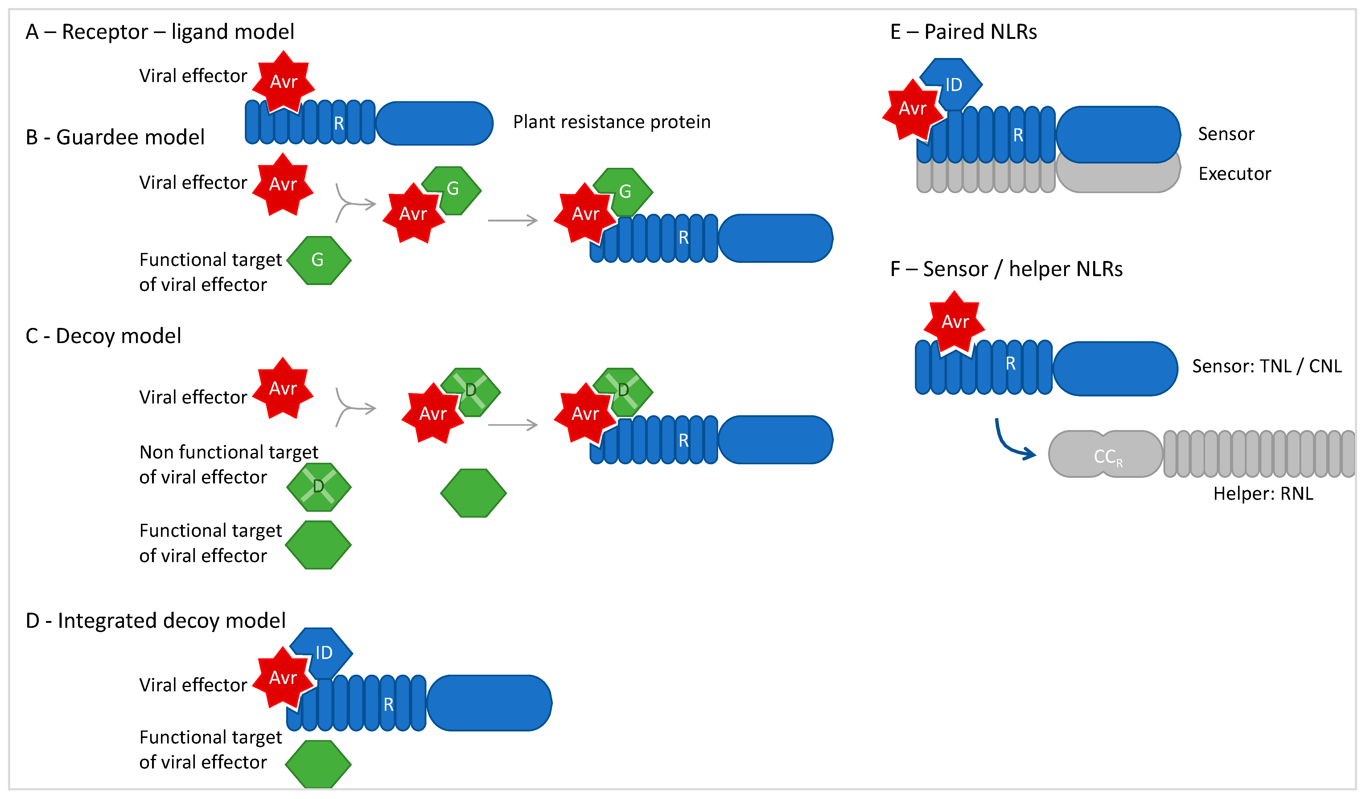 Viruses 15 02000 g003