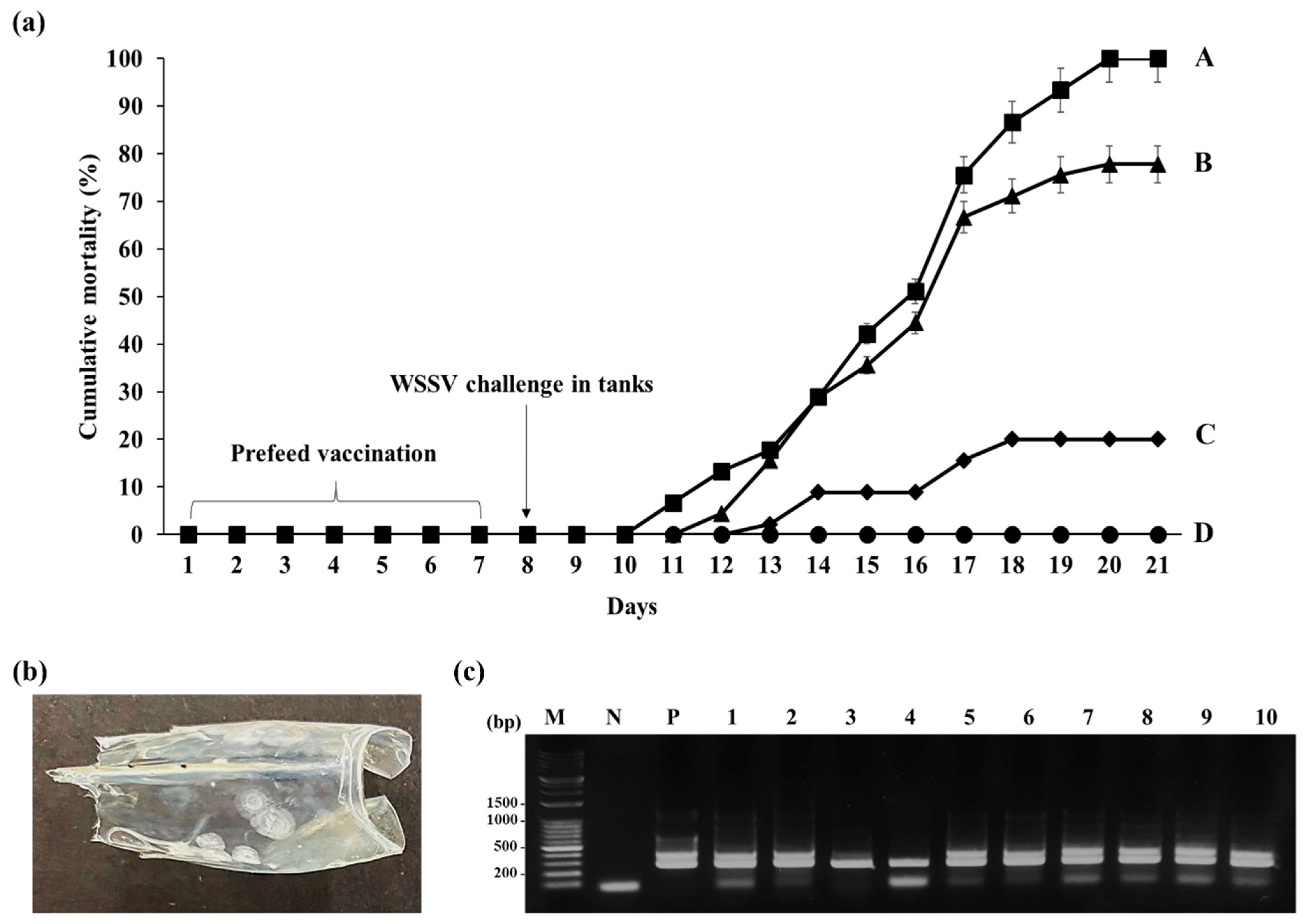 Viruses 15 02010 g004