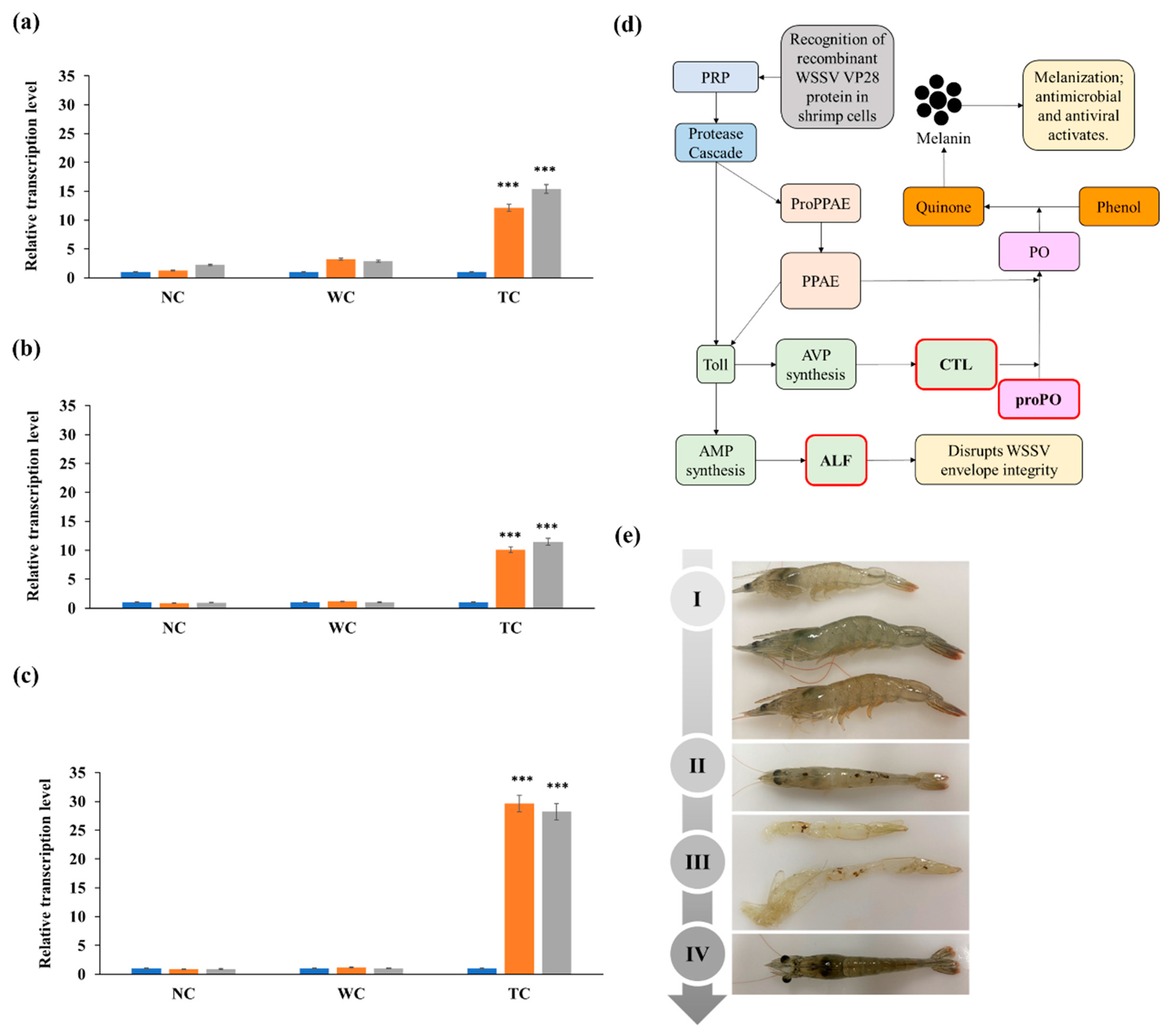 Viruses 15 02010 g005