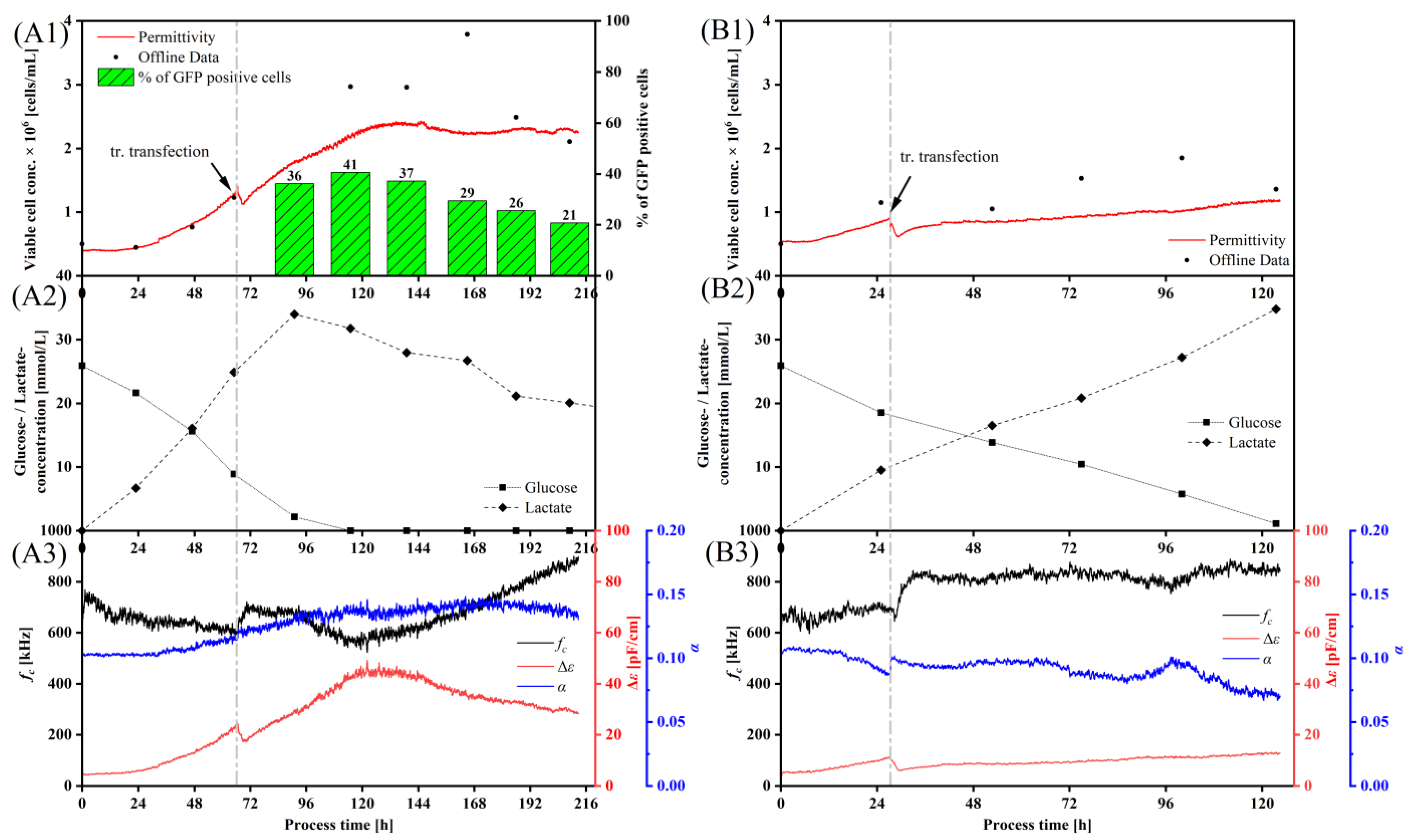 Viruses 15 02013 g004 Viruses 15 02013 g004