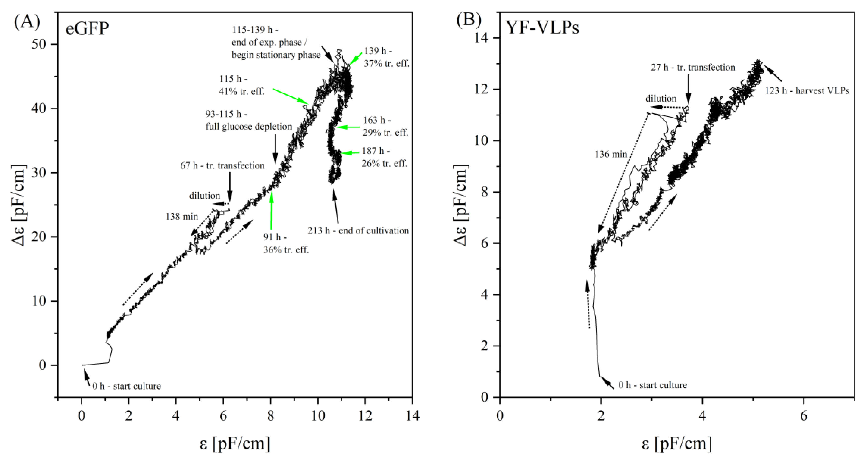 Viruses 15 02013 g005 Viruses 15 02013 g005