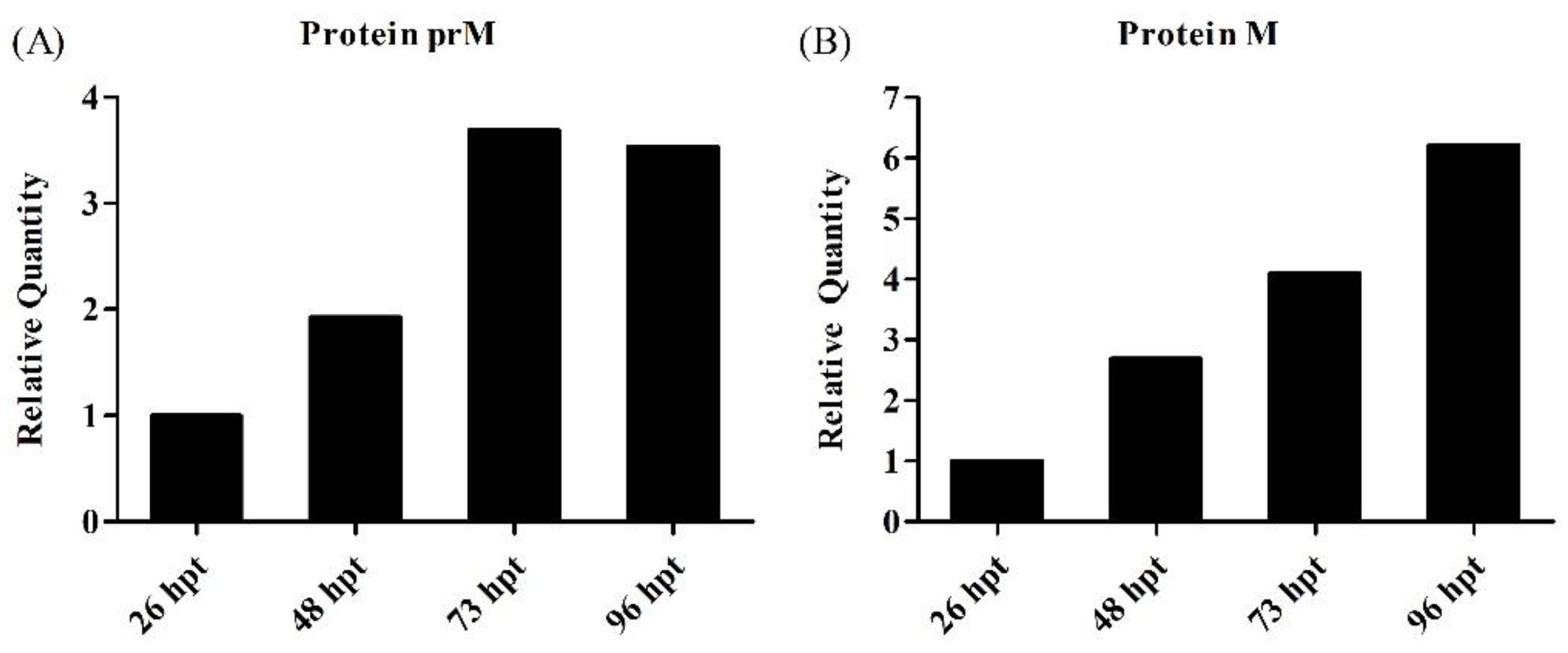Viruses 15 02013 g0a10 Viruses 15 02013 g0a10