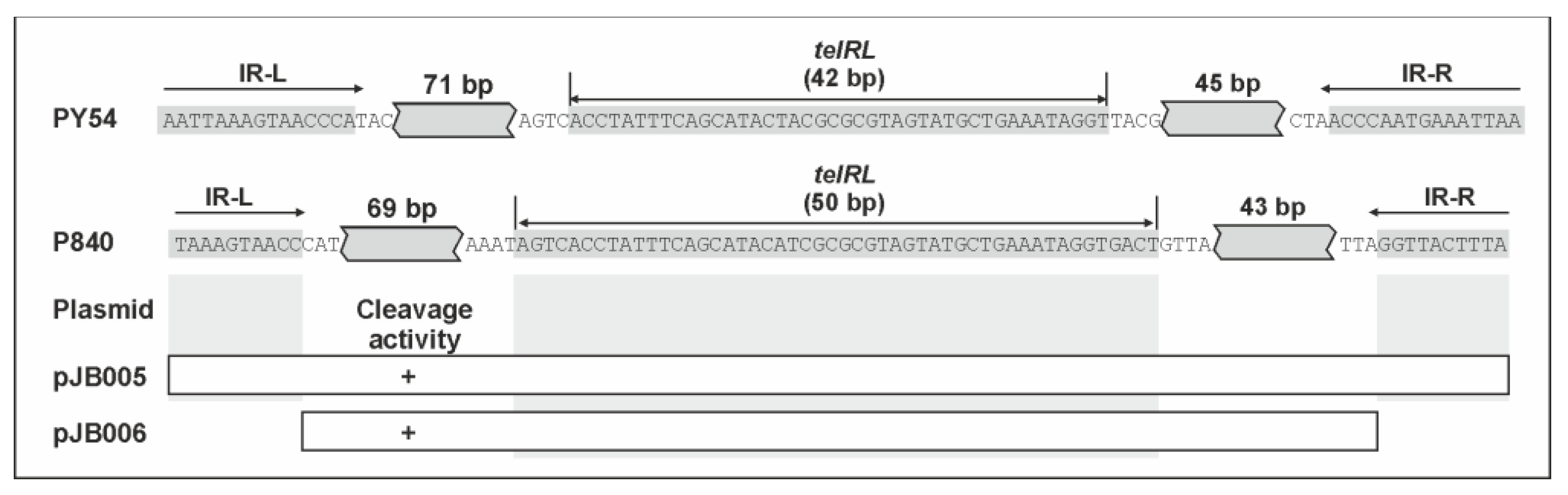 Viruses 15 02019 g005