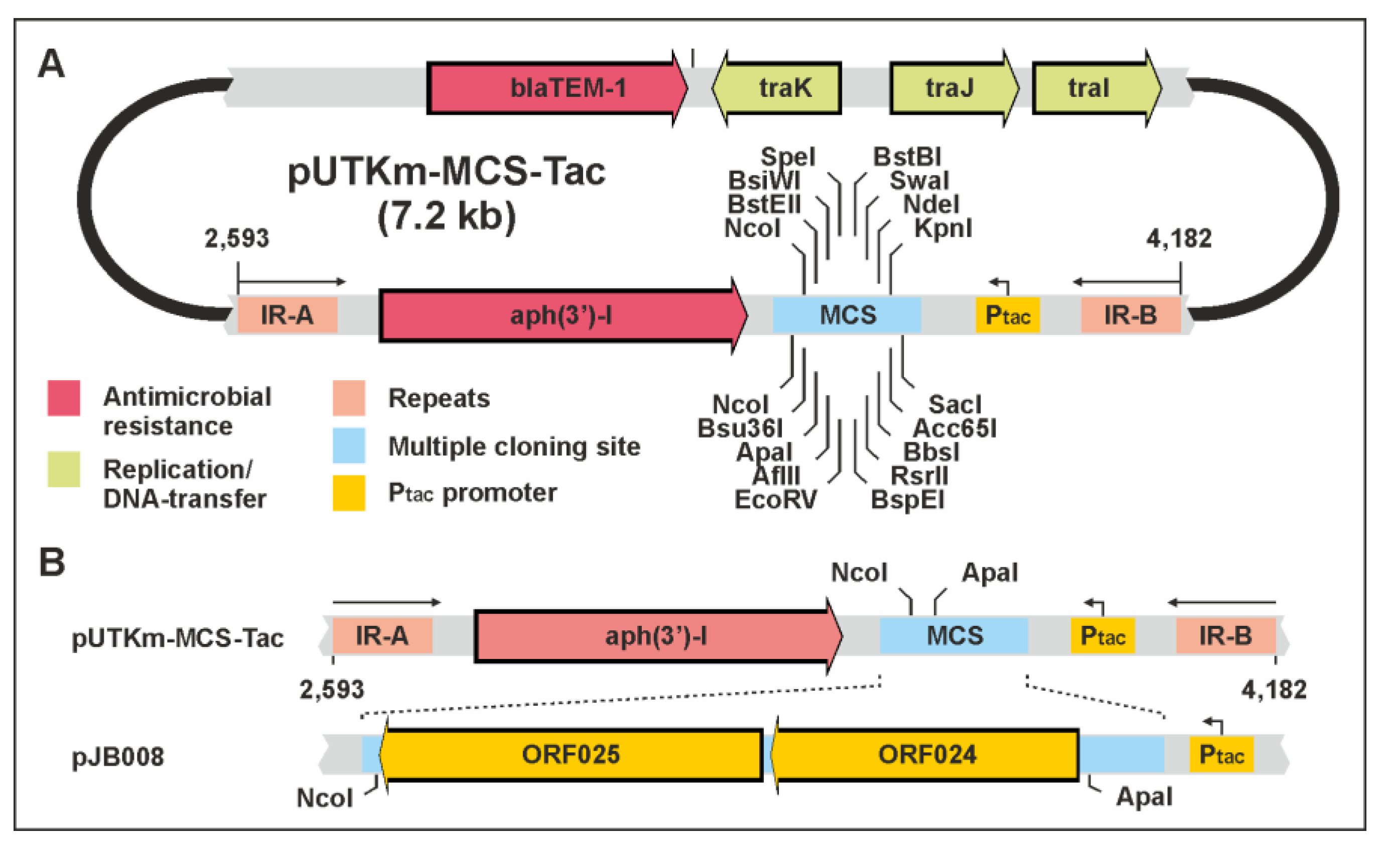 Viruses 15 02019 g008