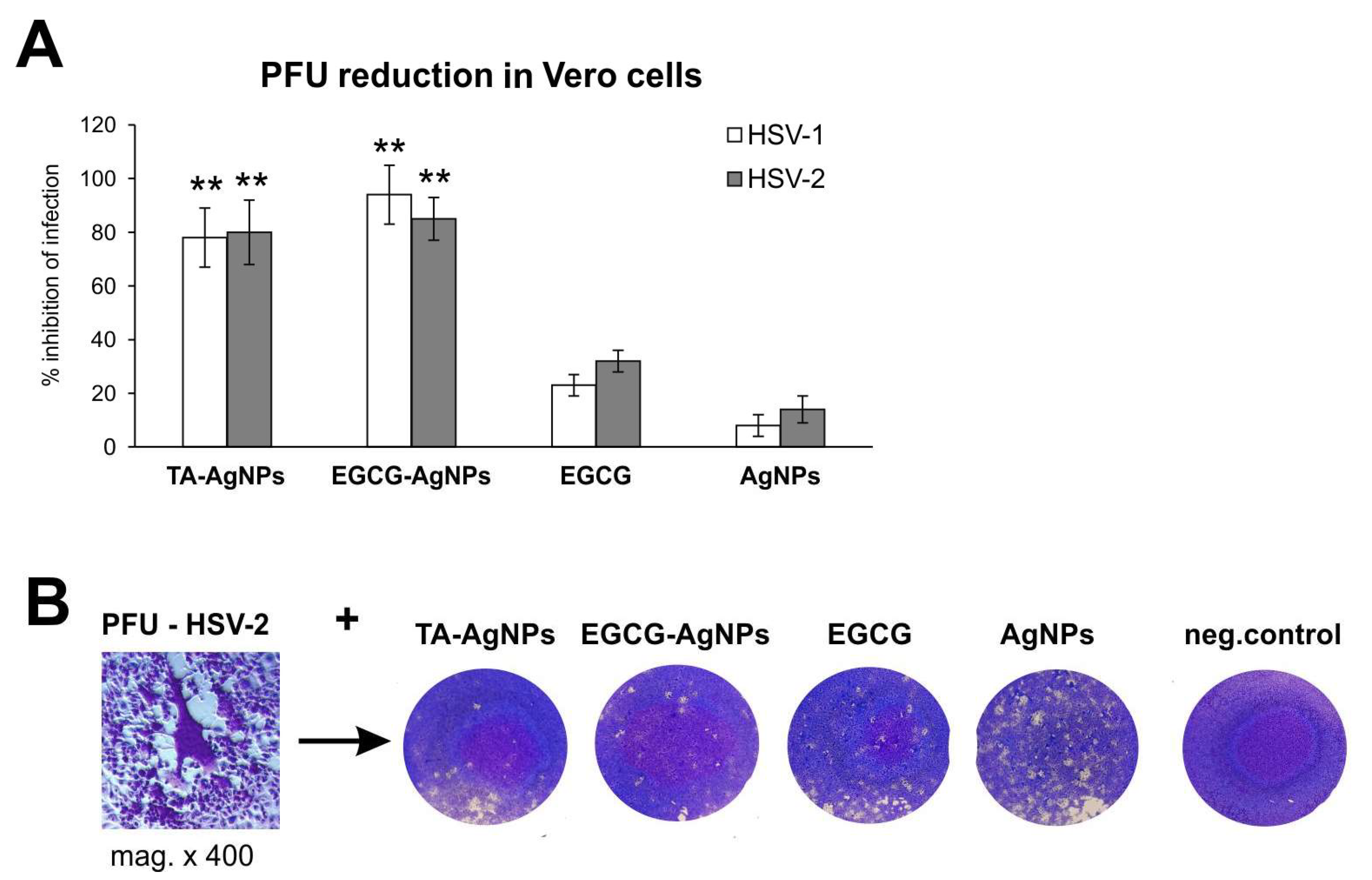 Viruses 15 02024 g002