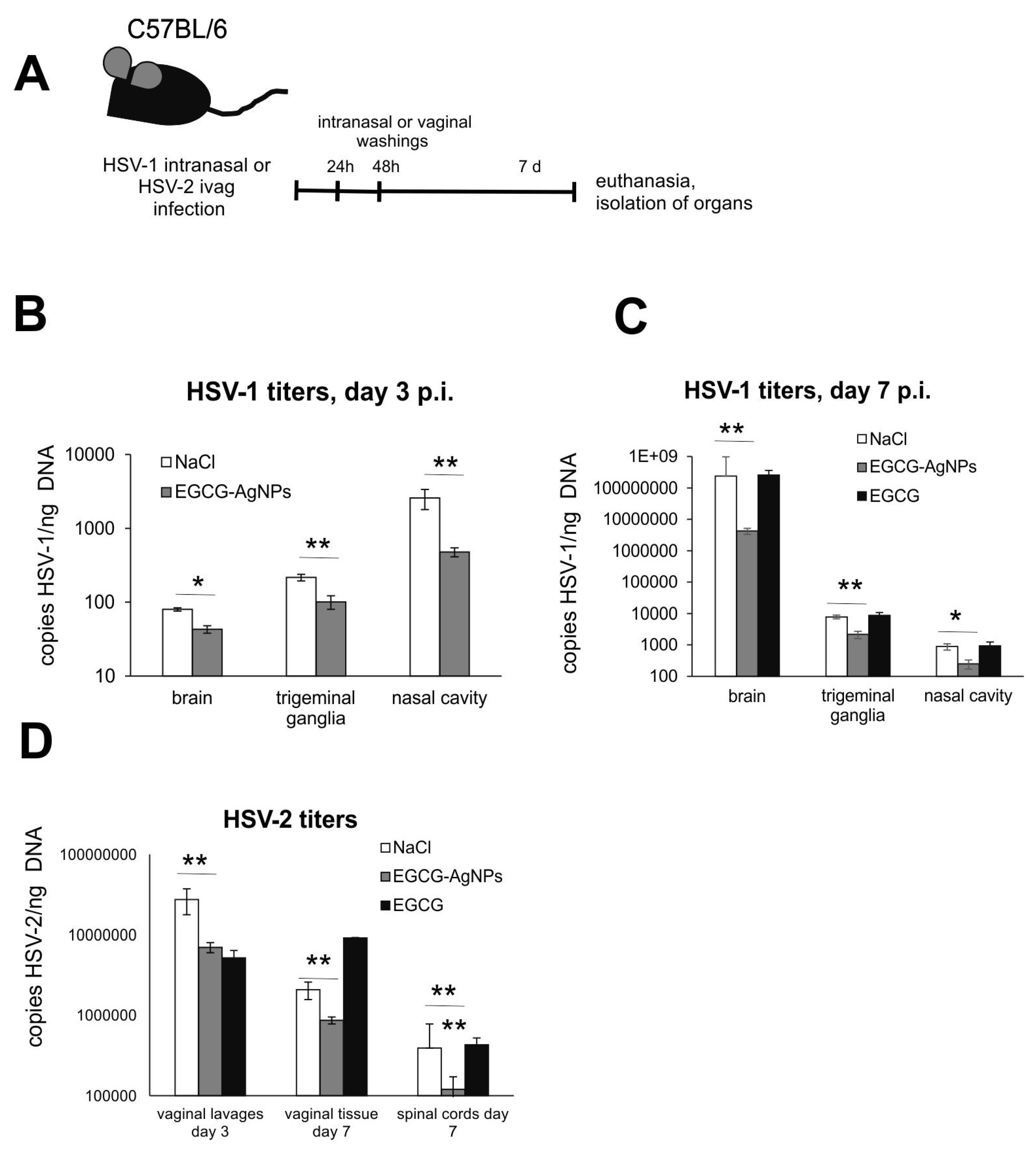 Viruses 15 02024 g004