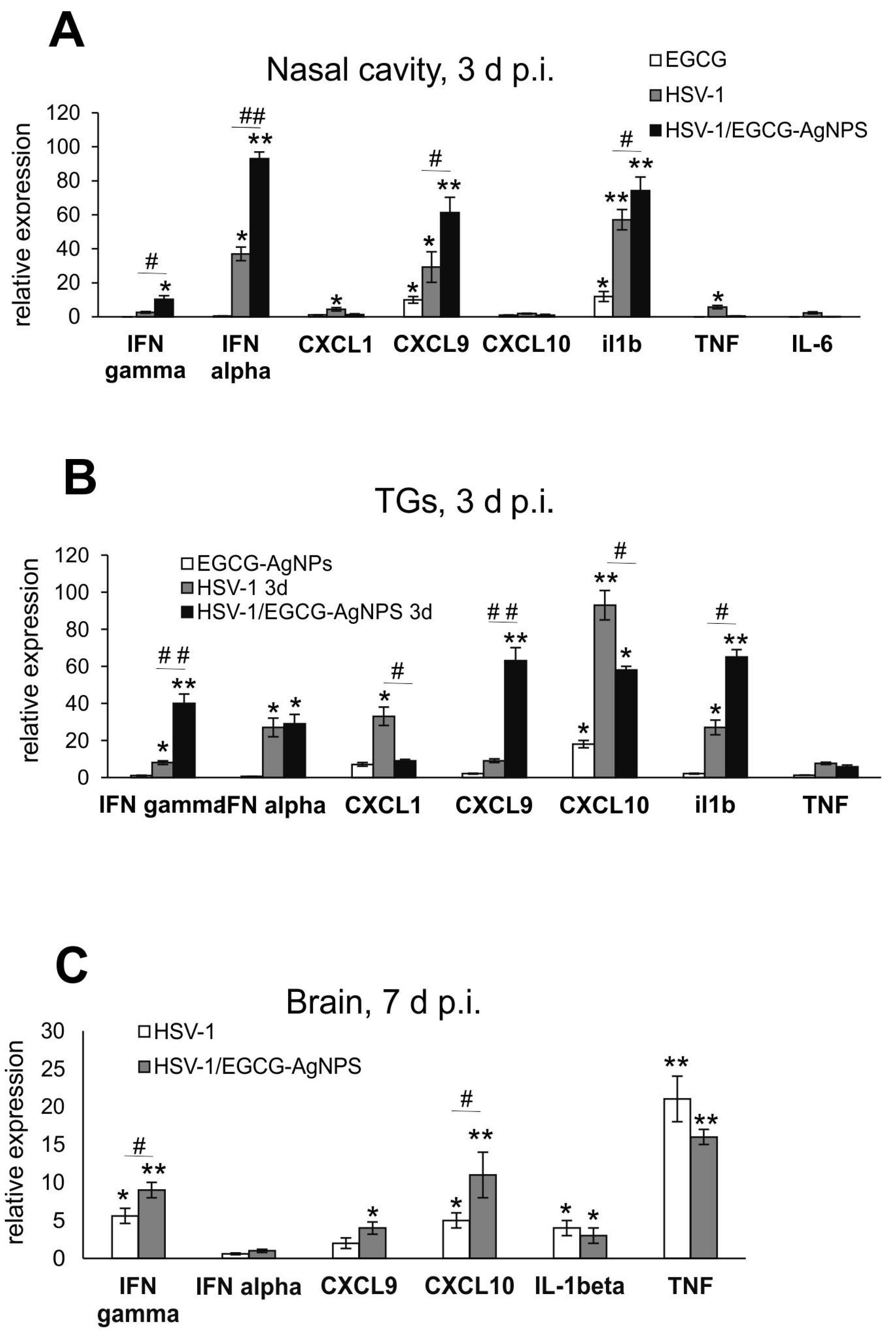 Viruses 15 02024 g006