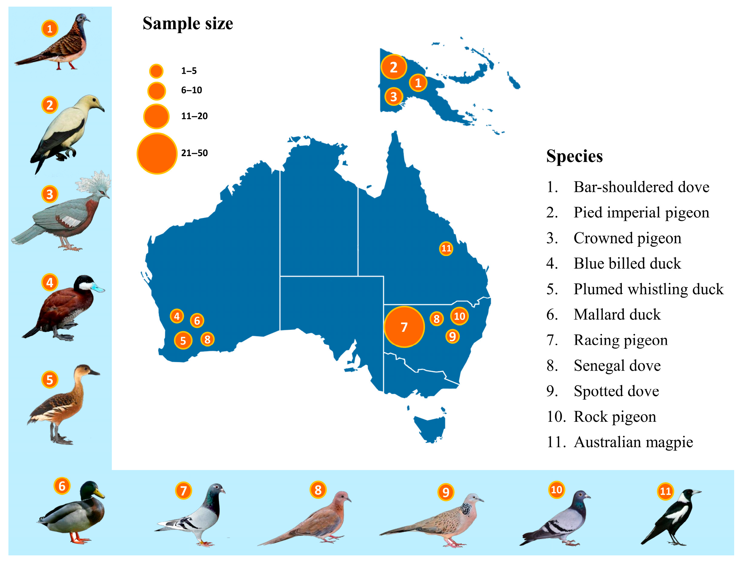 Viruses 15 02025 g001 Viruses 15 02025 g001