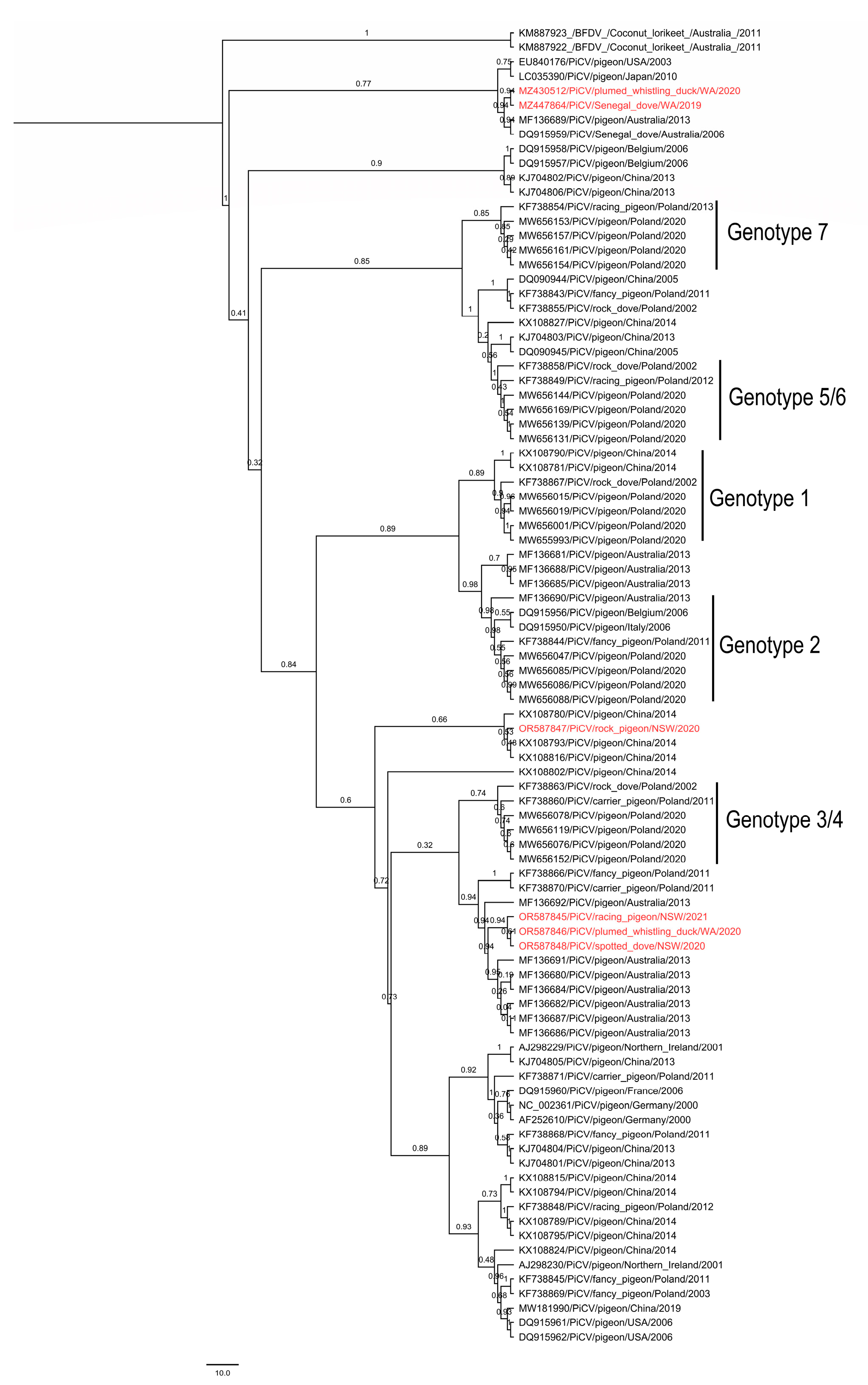Viruses 15 02025 g002 Viruses 15 02025 g002