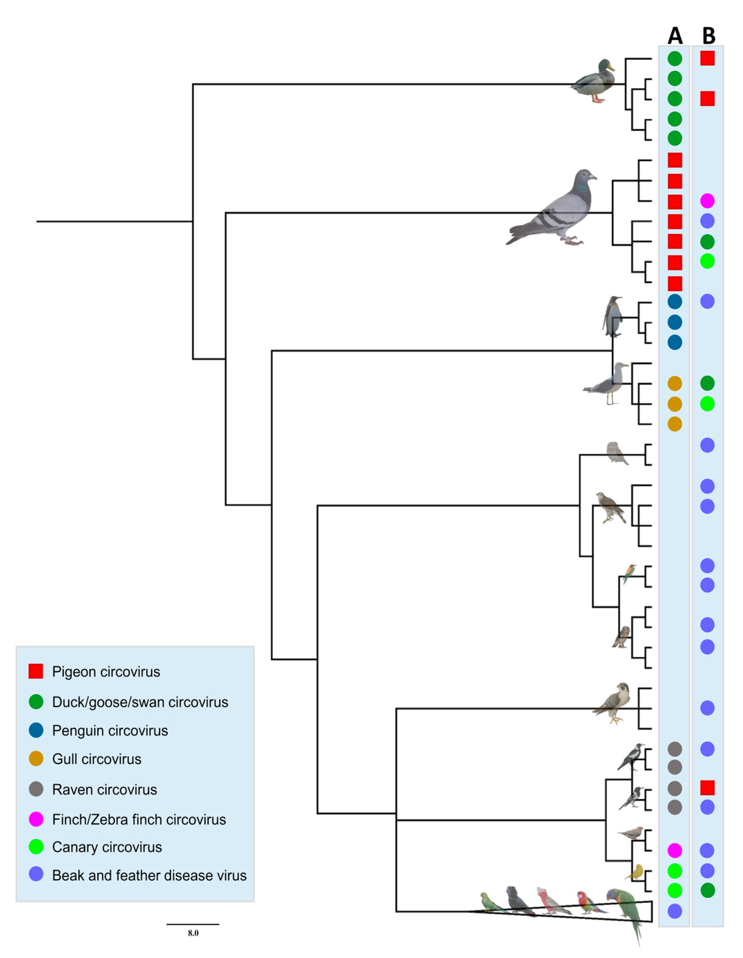Viruses 15 02025 g003 Viruses 15 02025 g003