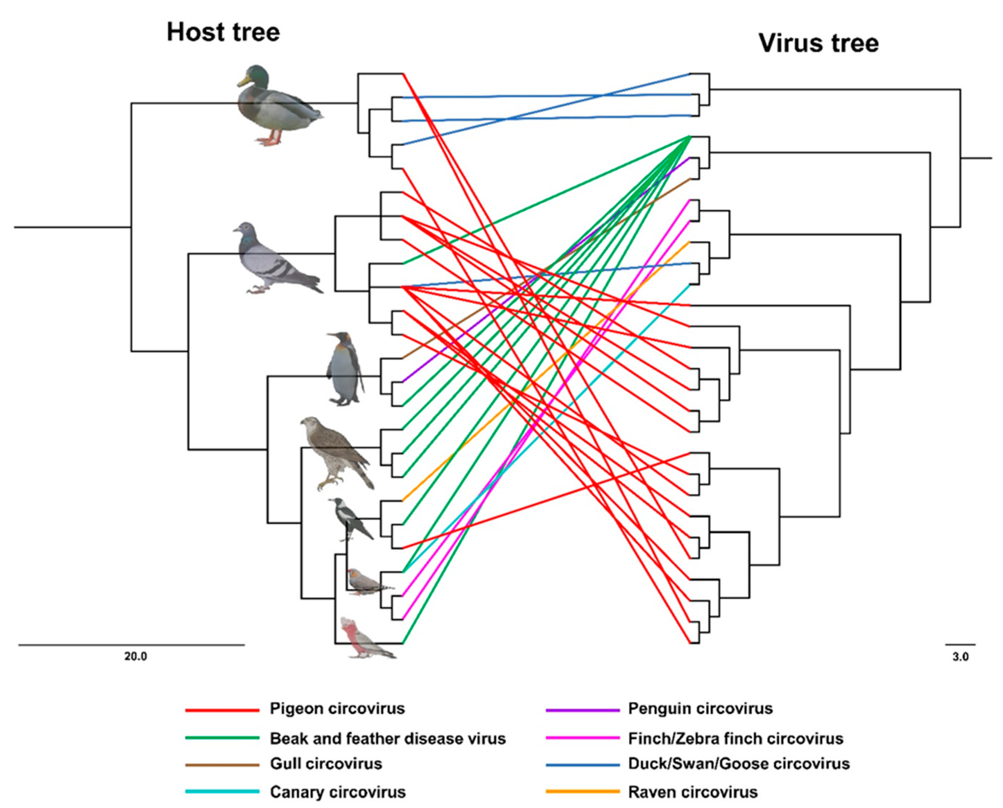 Viruses 15 02025 g004 Viruses 15 02025 g004