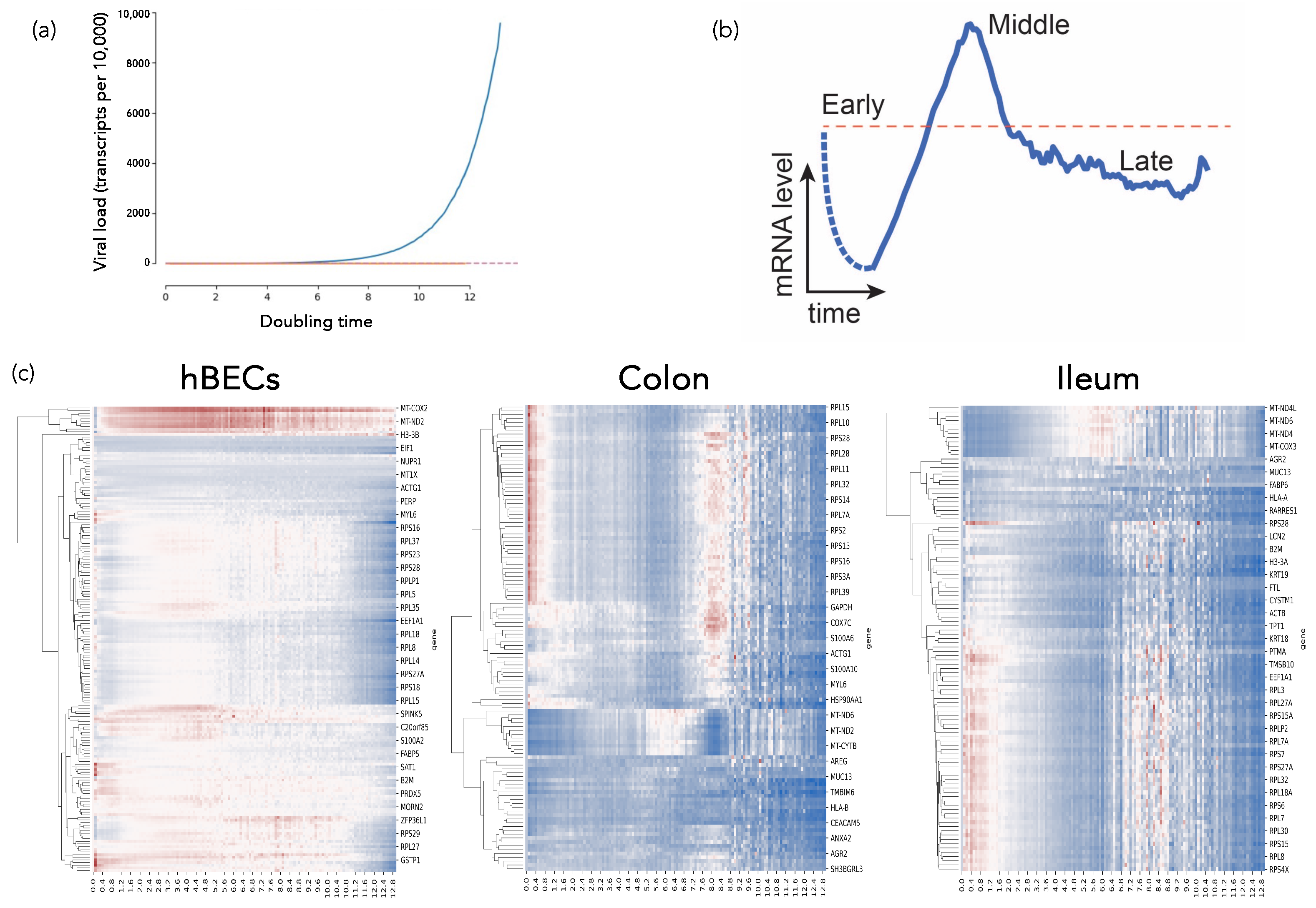 Viruses 15 02031 g004