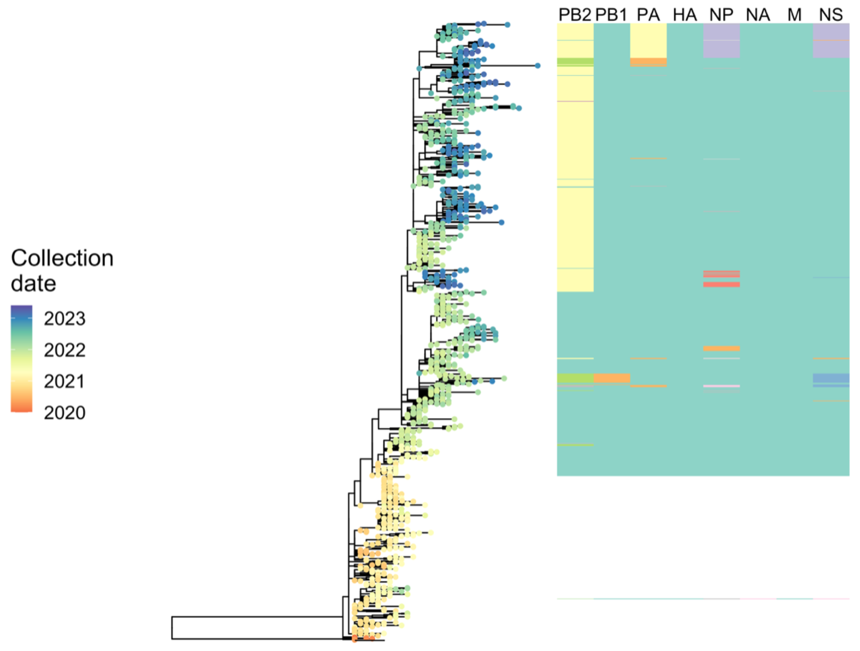 Viruses 15 02031 g006