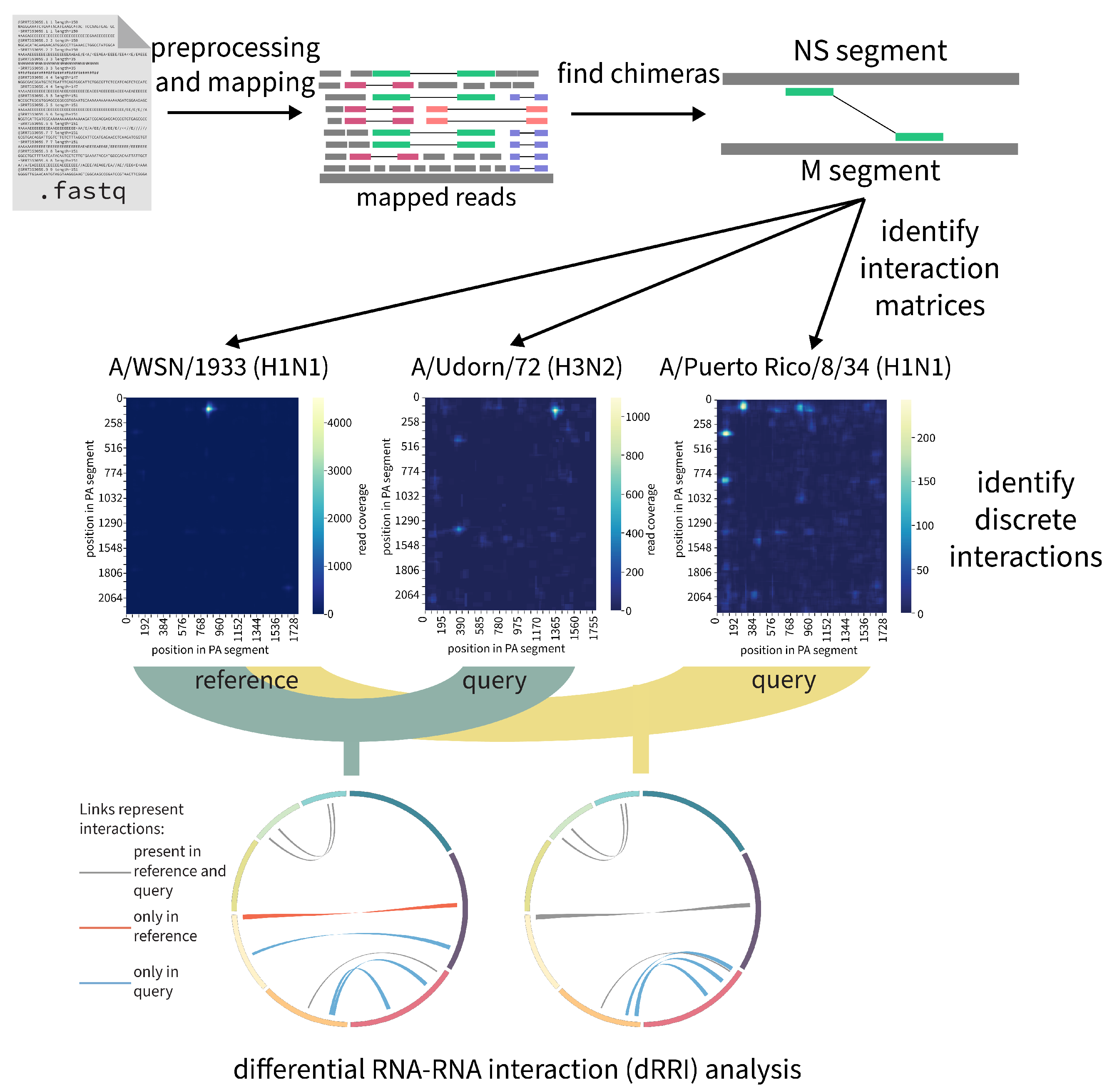 Viruses 15 02031 g008