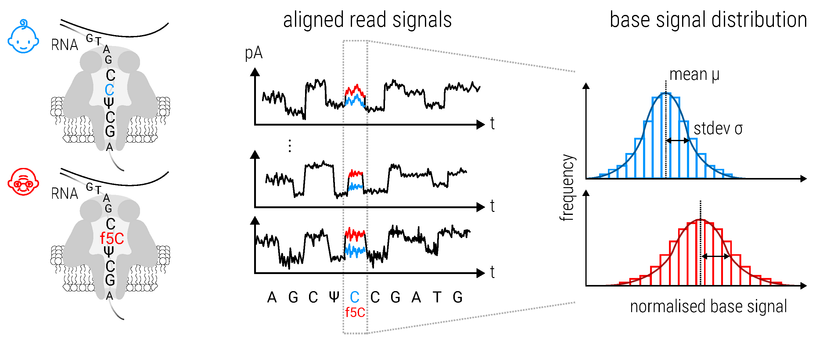 Viruses 15 02031 g009