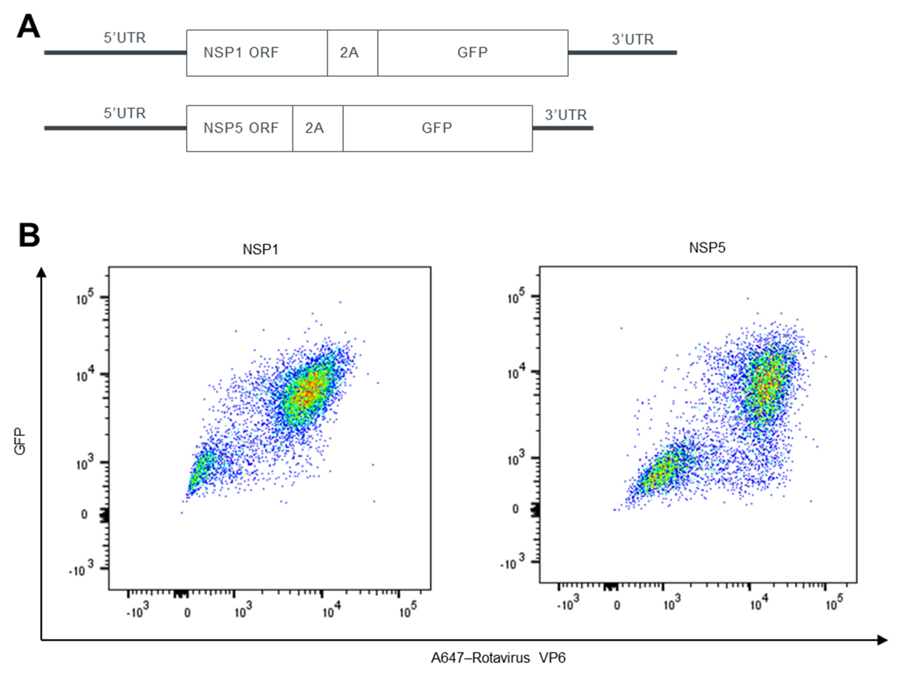Viruses 15 02034 g002