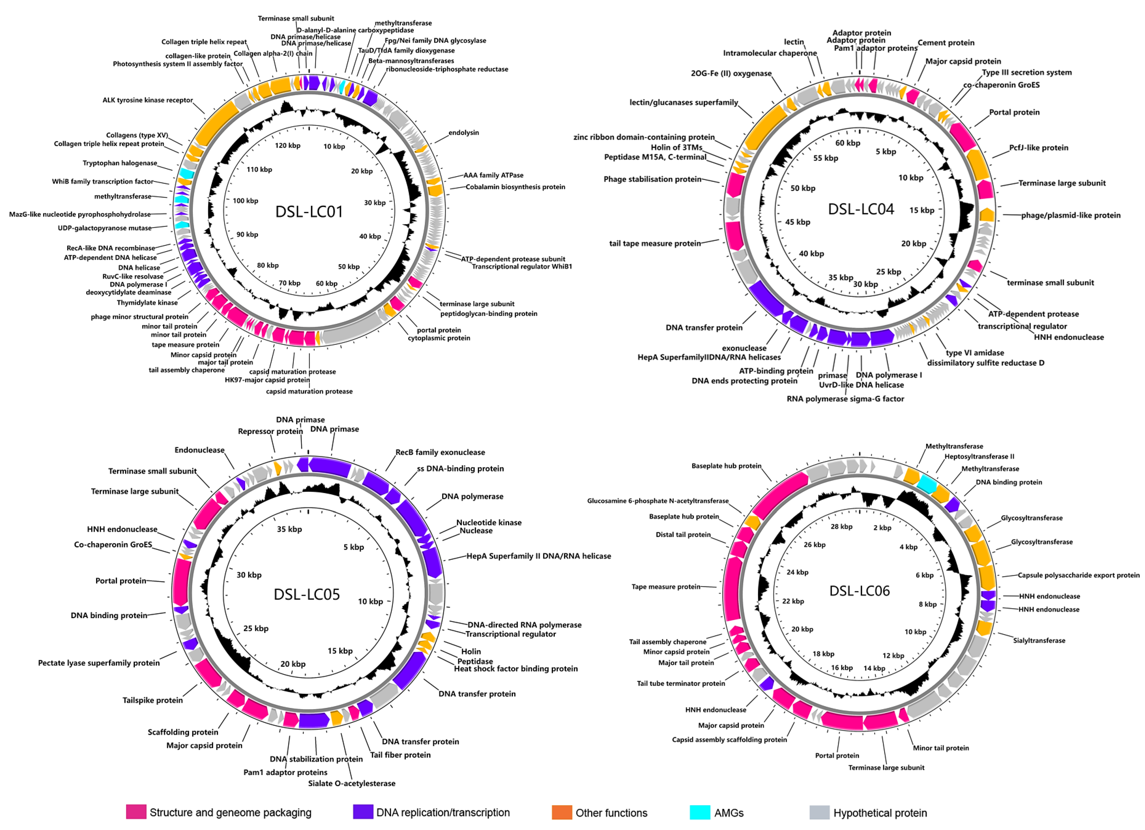 Viruses 15 02038 g002