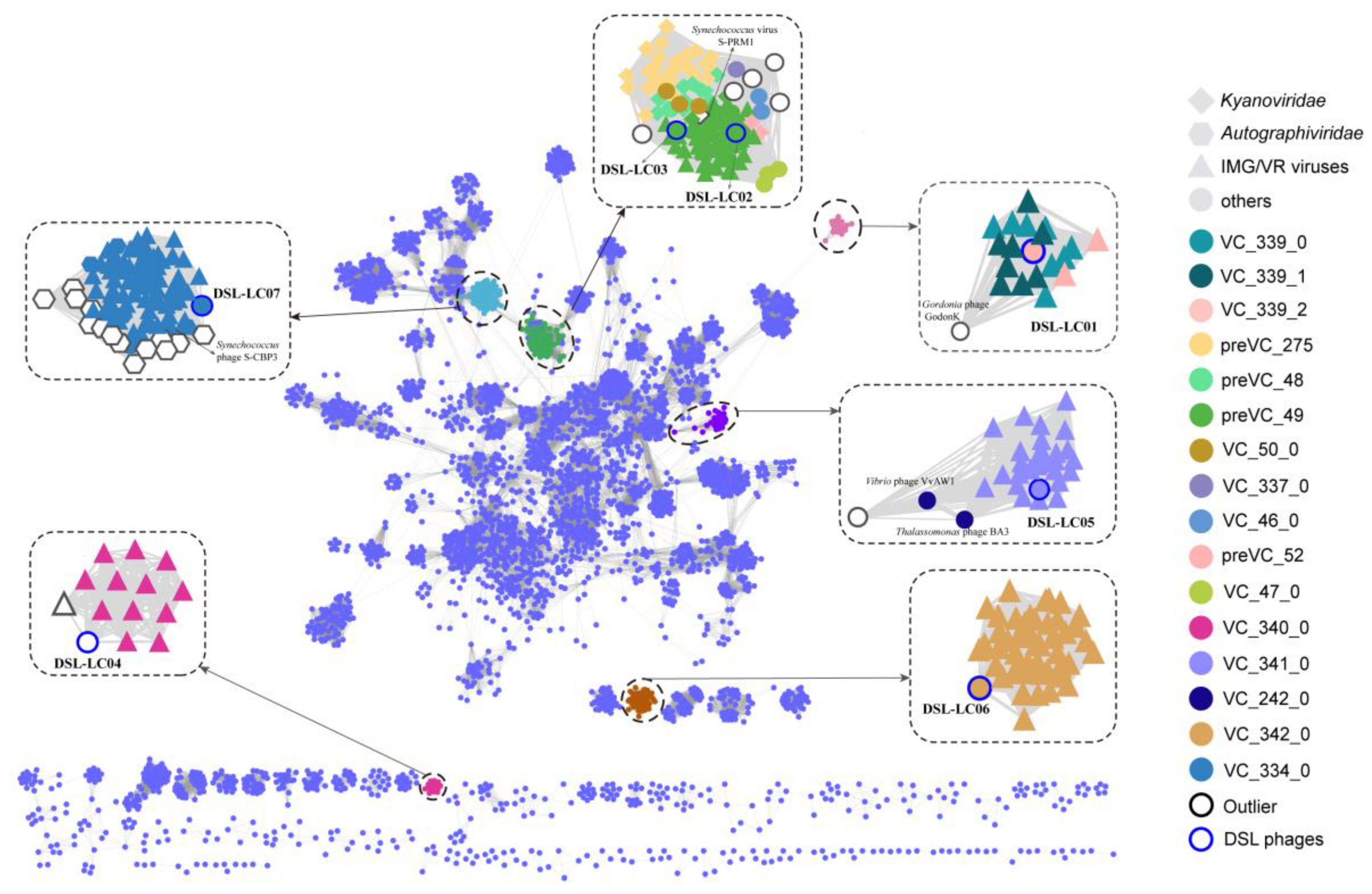 Viruses 15 02038 g003