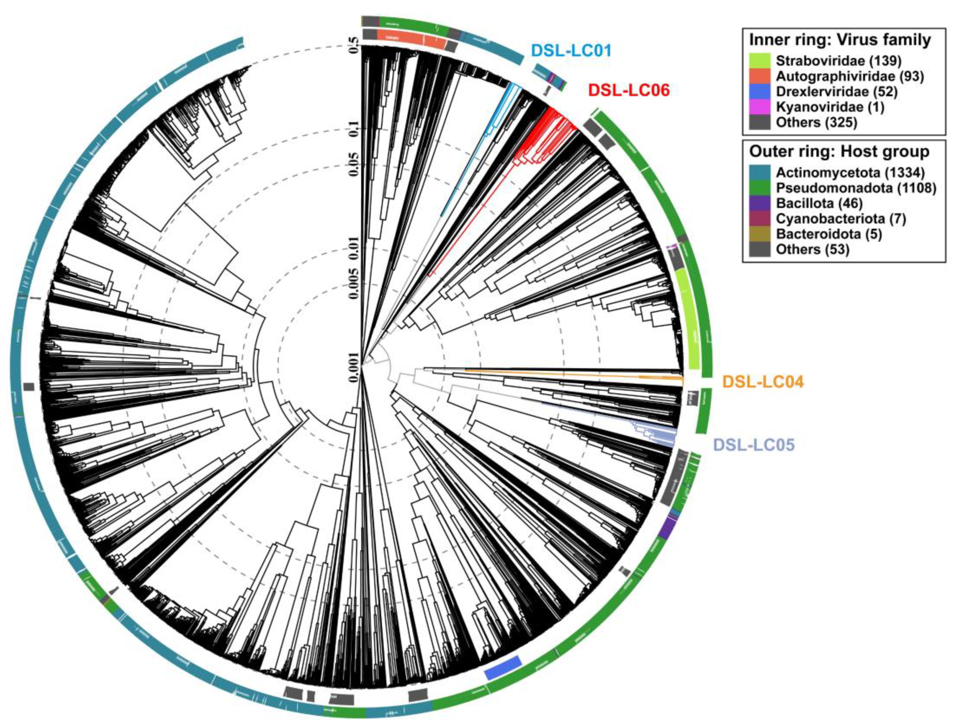 Viruses 15 02038 g005