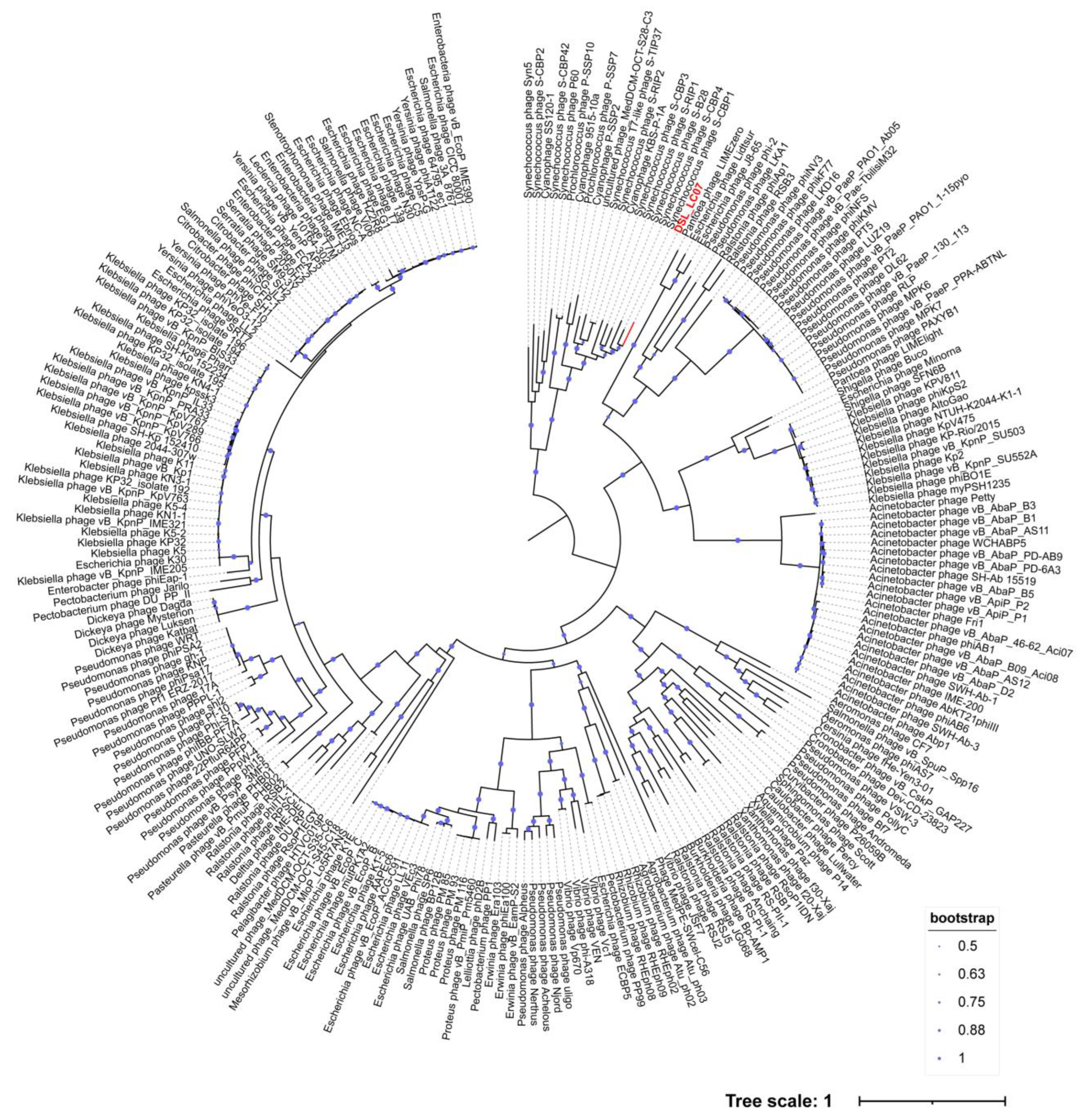 Viruses 15 02038 g008
