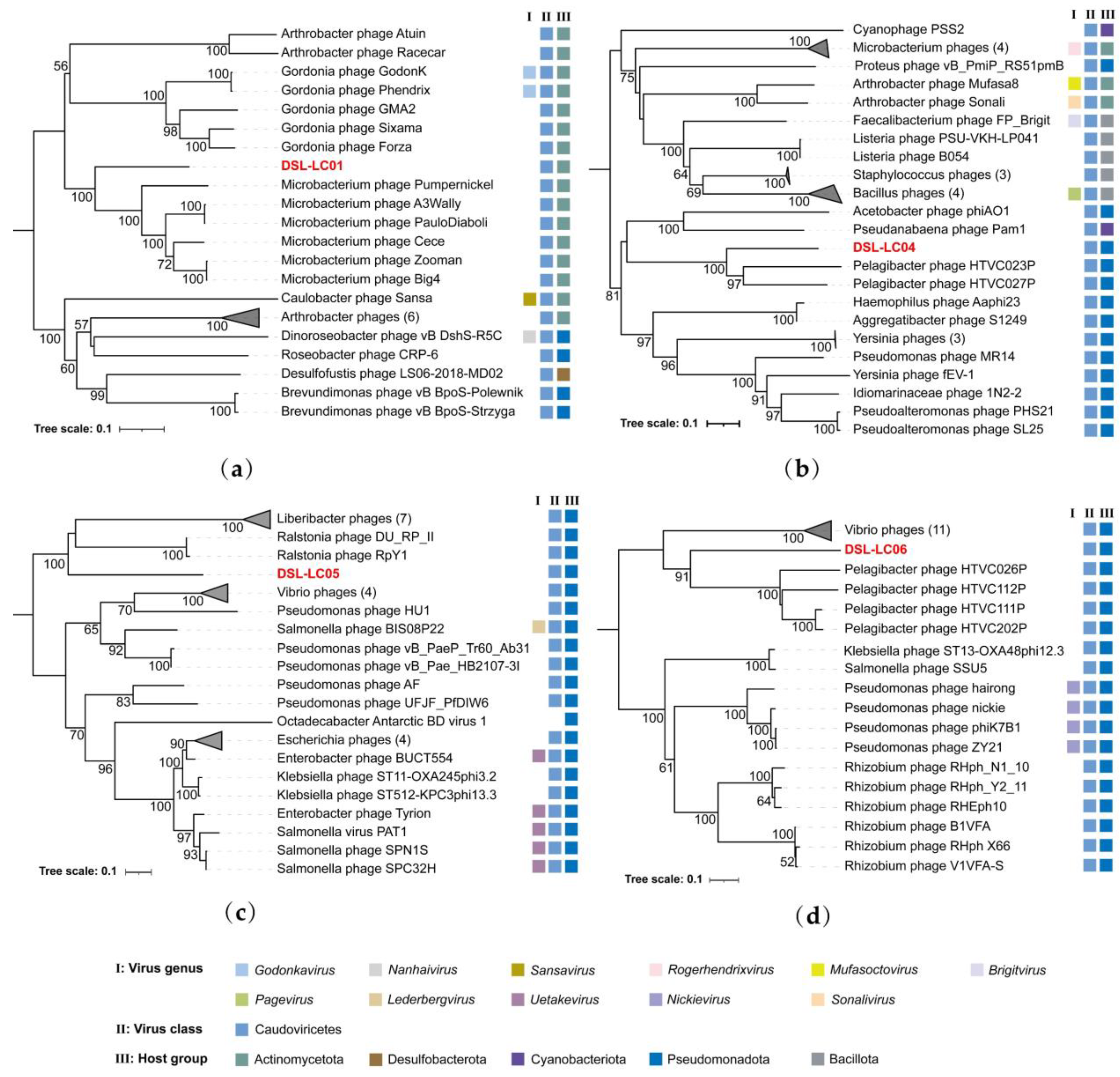 Viruses 15 02038 g009