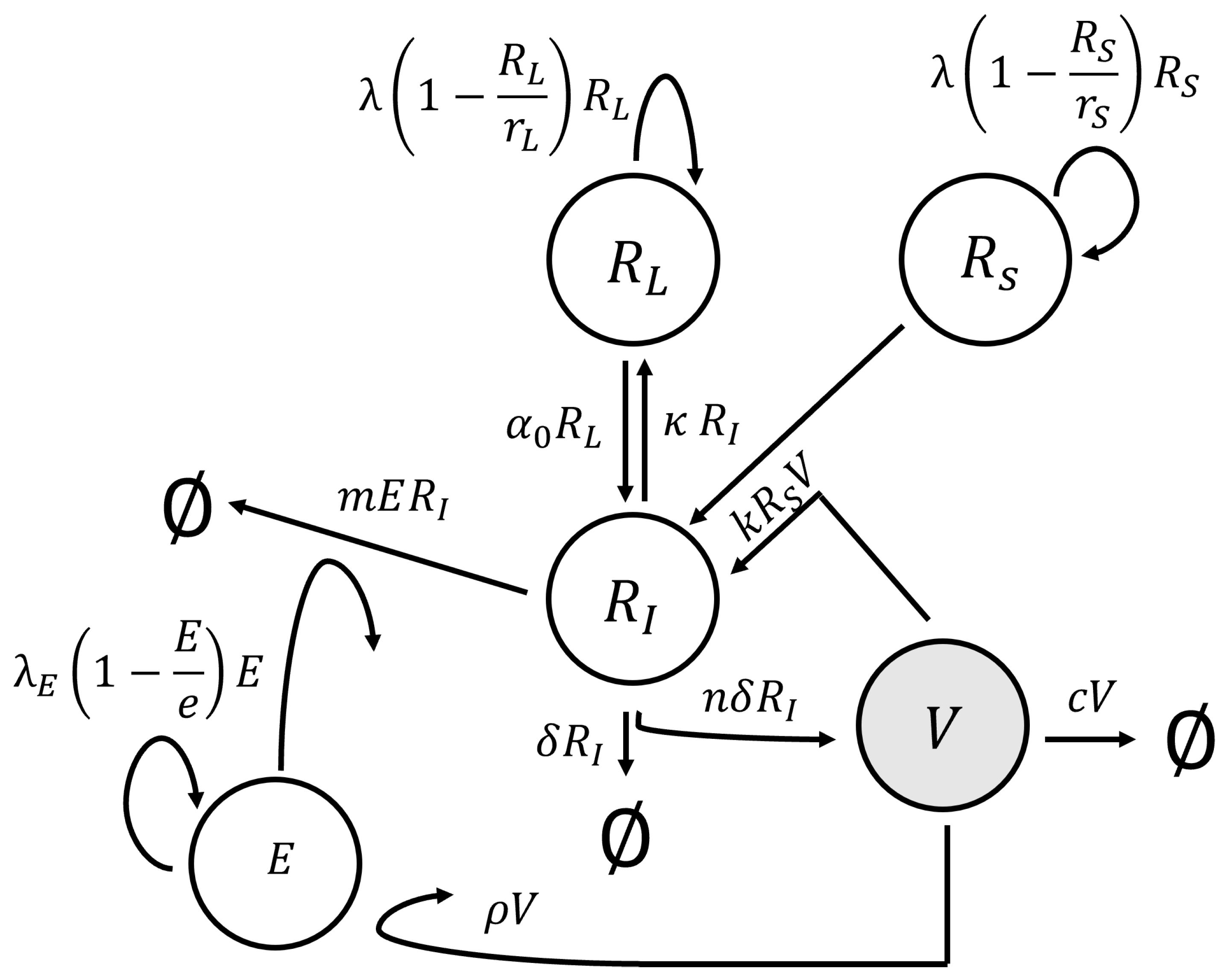 Viruses 15 02040 g002