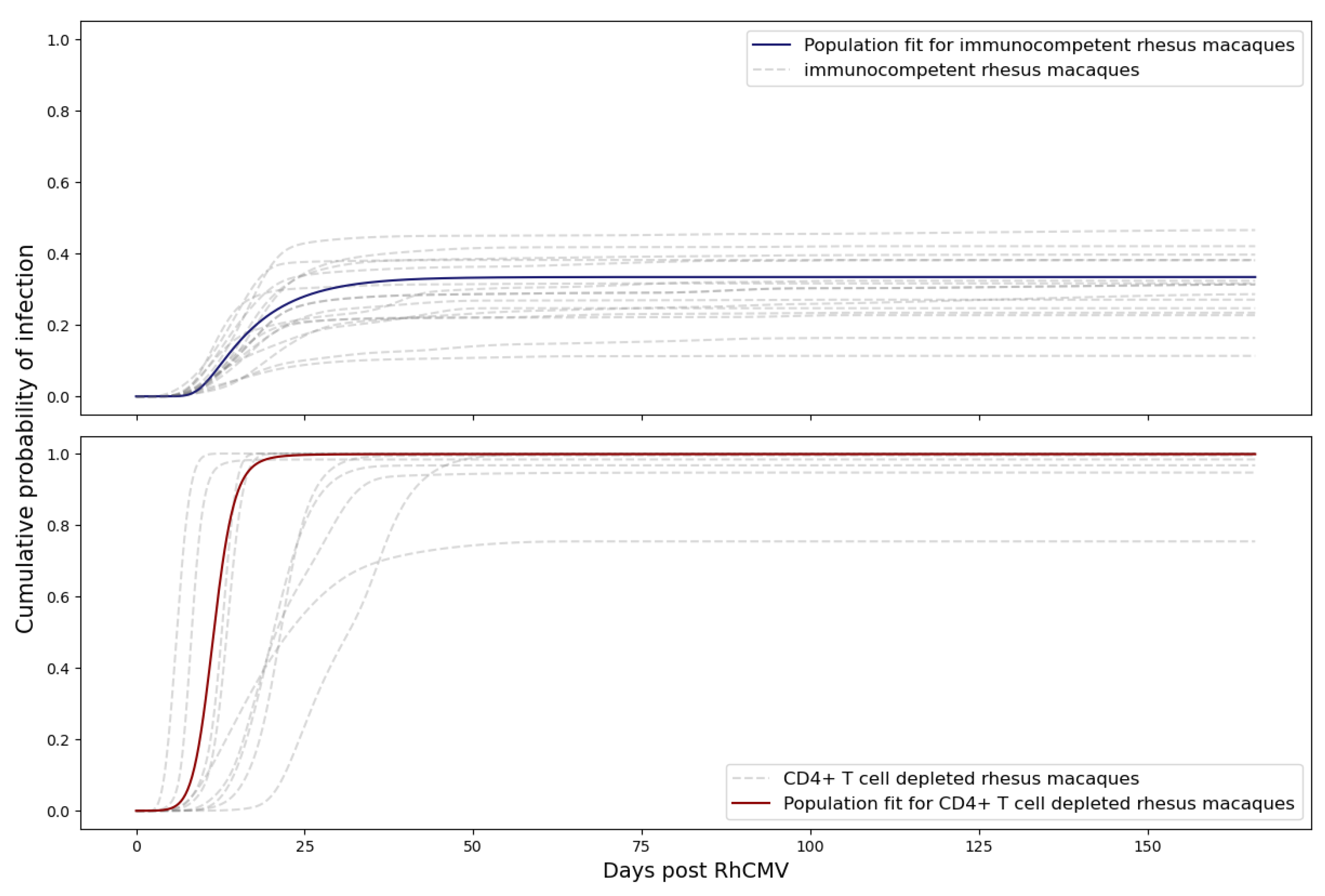 Viruses 15 02040 g008