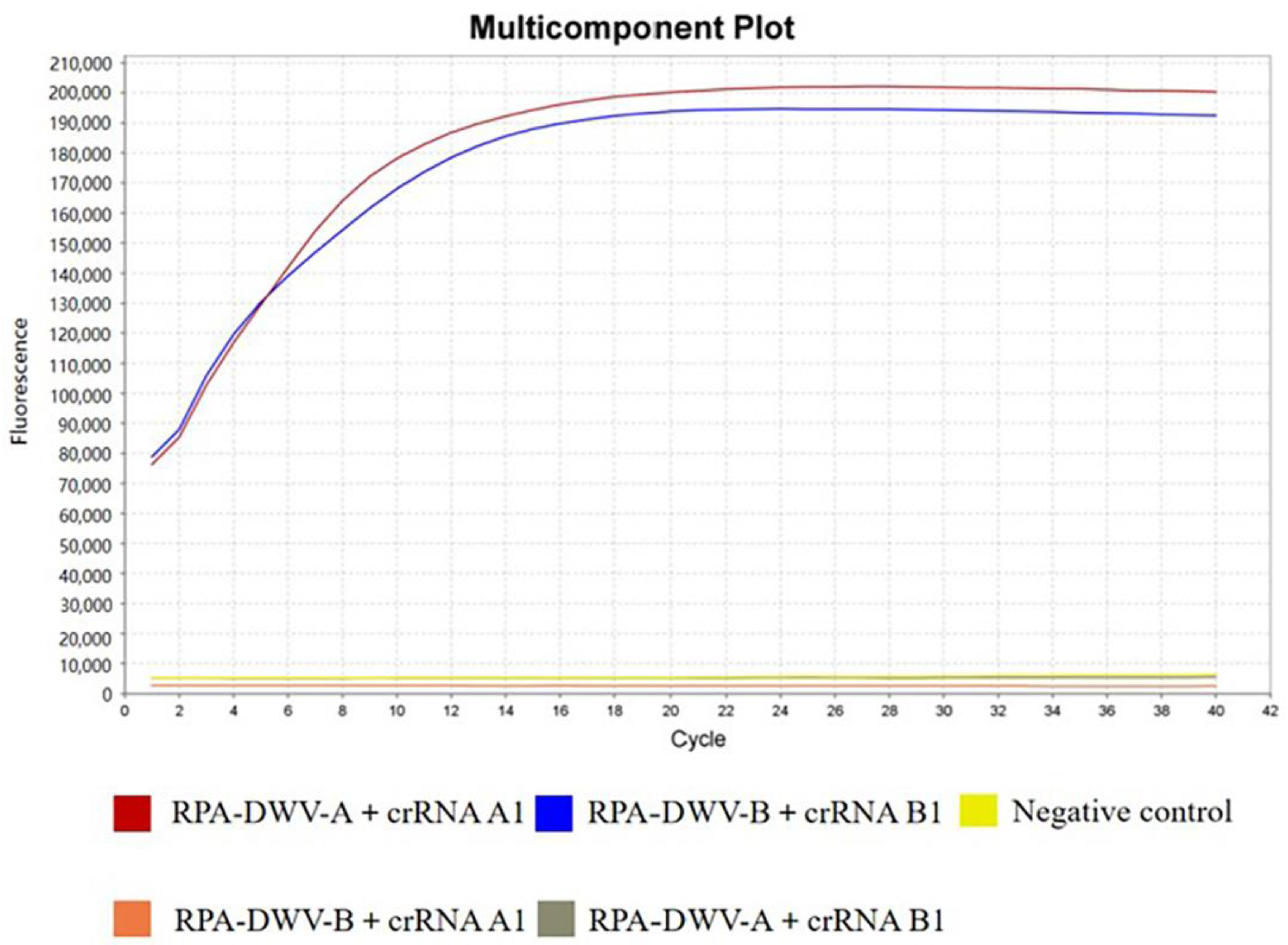 Viruses 15 02041 g003