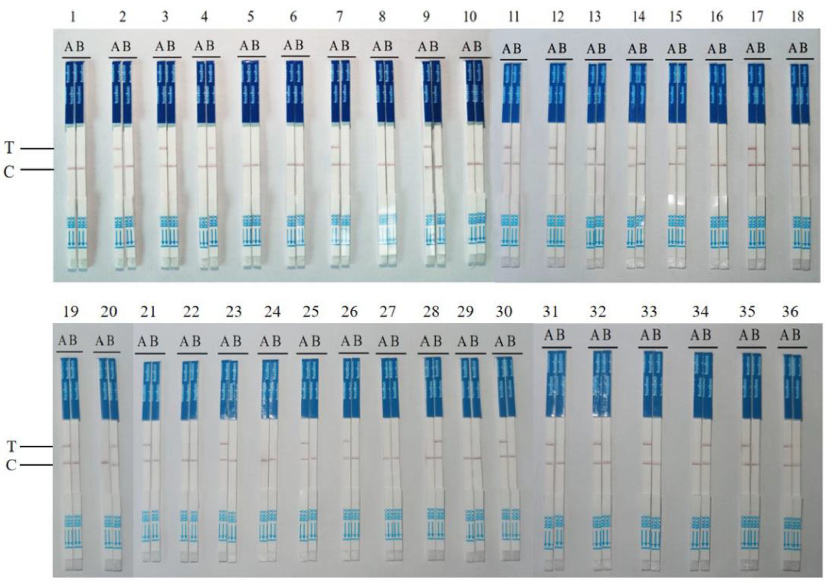 Viruses 15 02041 g005