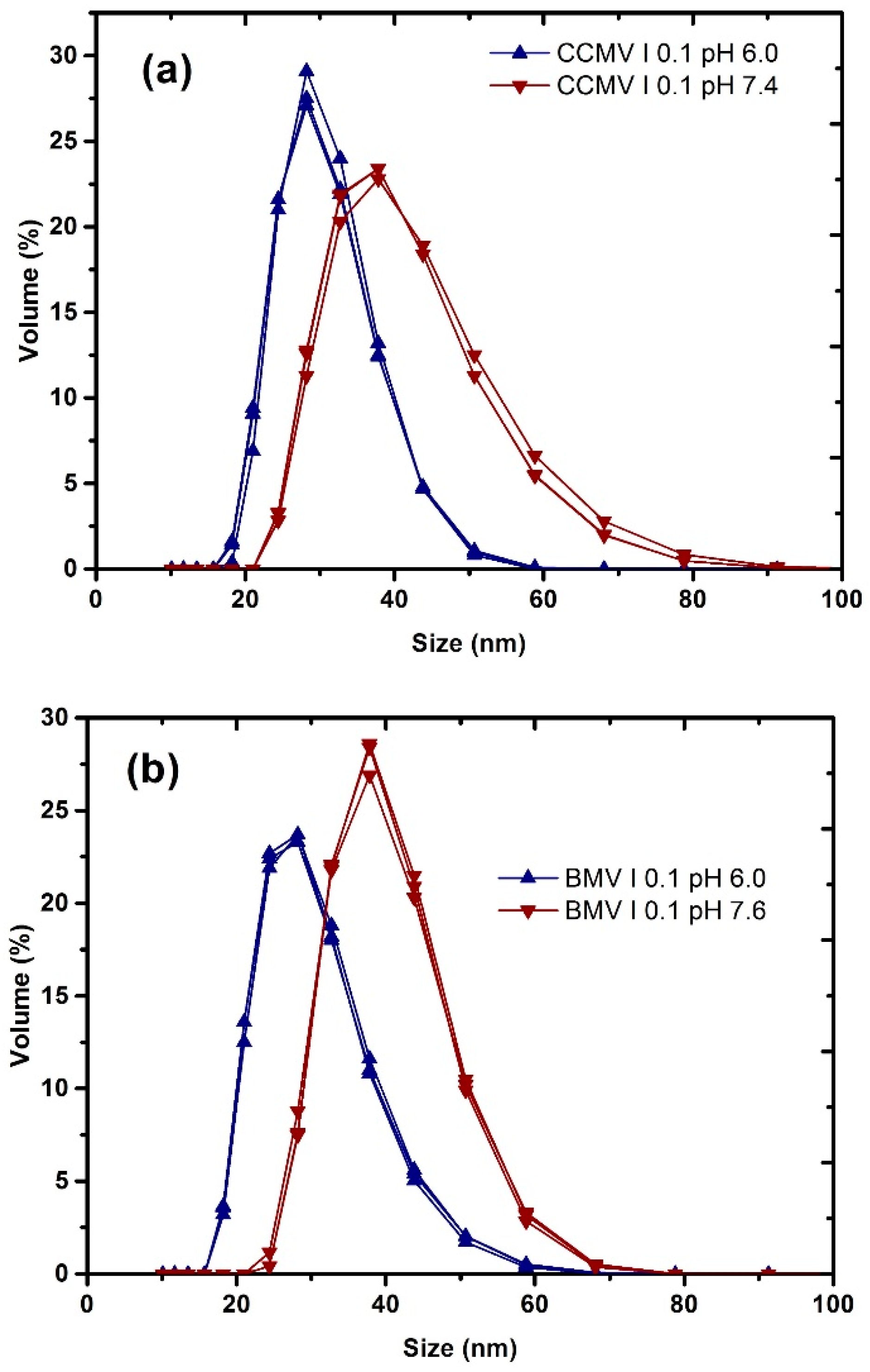 Viruses 15 02046 g001