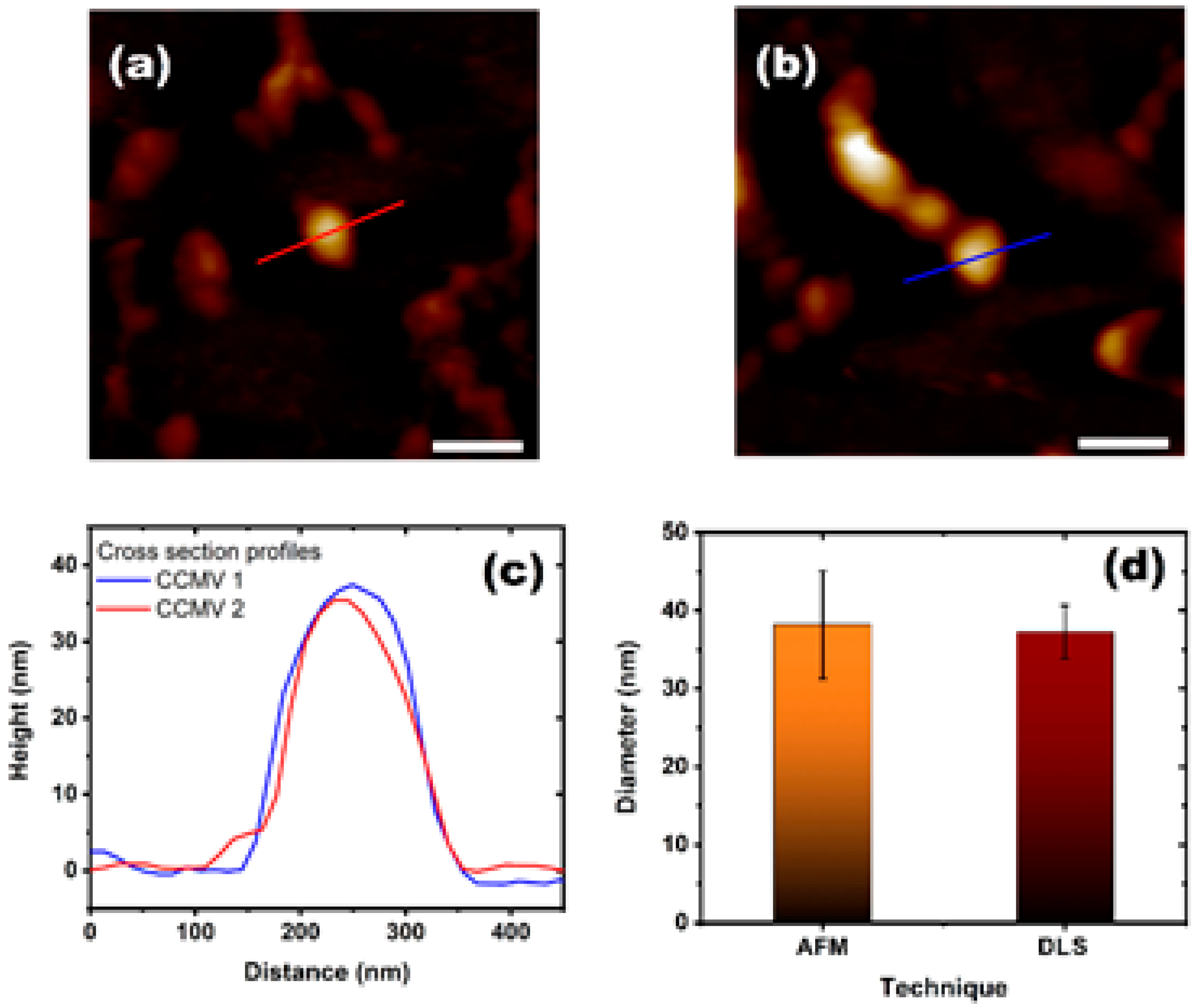 Viruses 15 02046 g005