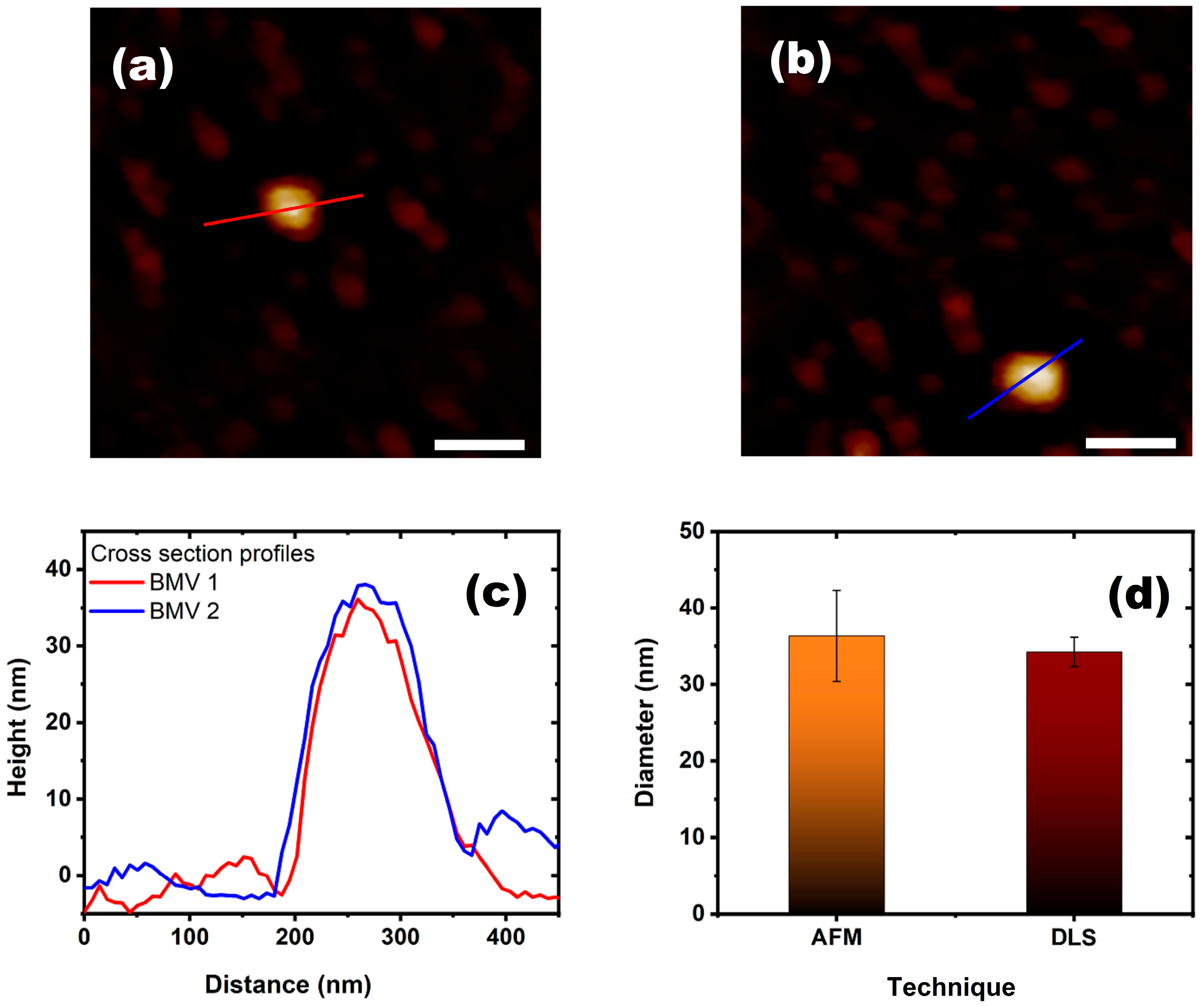 Viruses 15 02046 g006