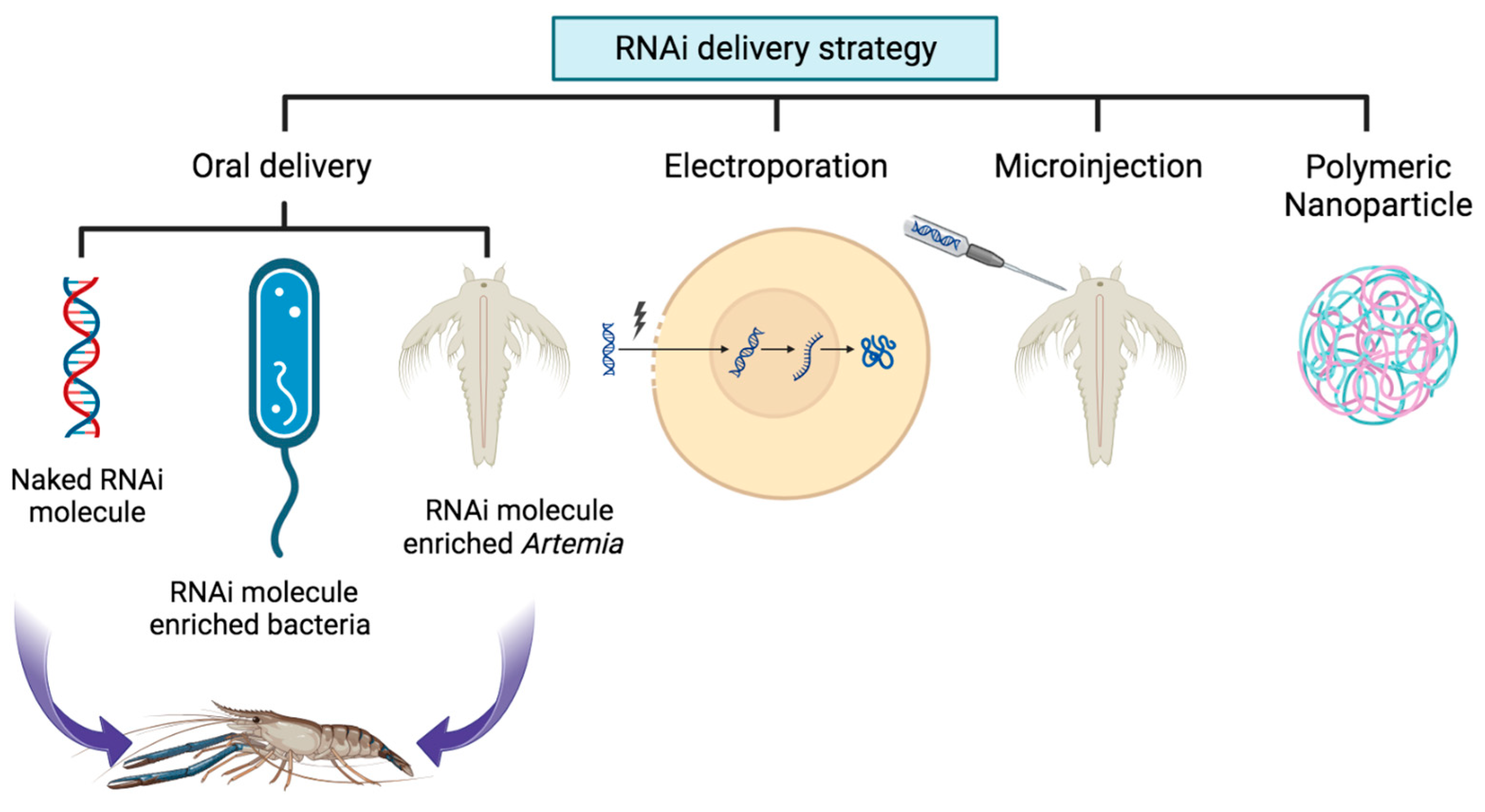 Viruses 15 02050 g002 Viruses 15 02050 g002
