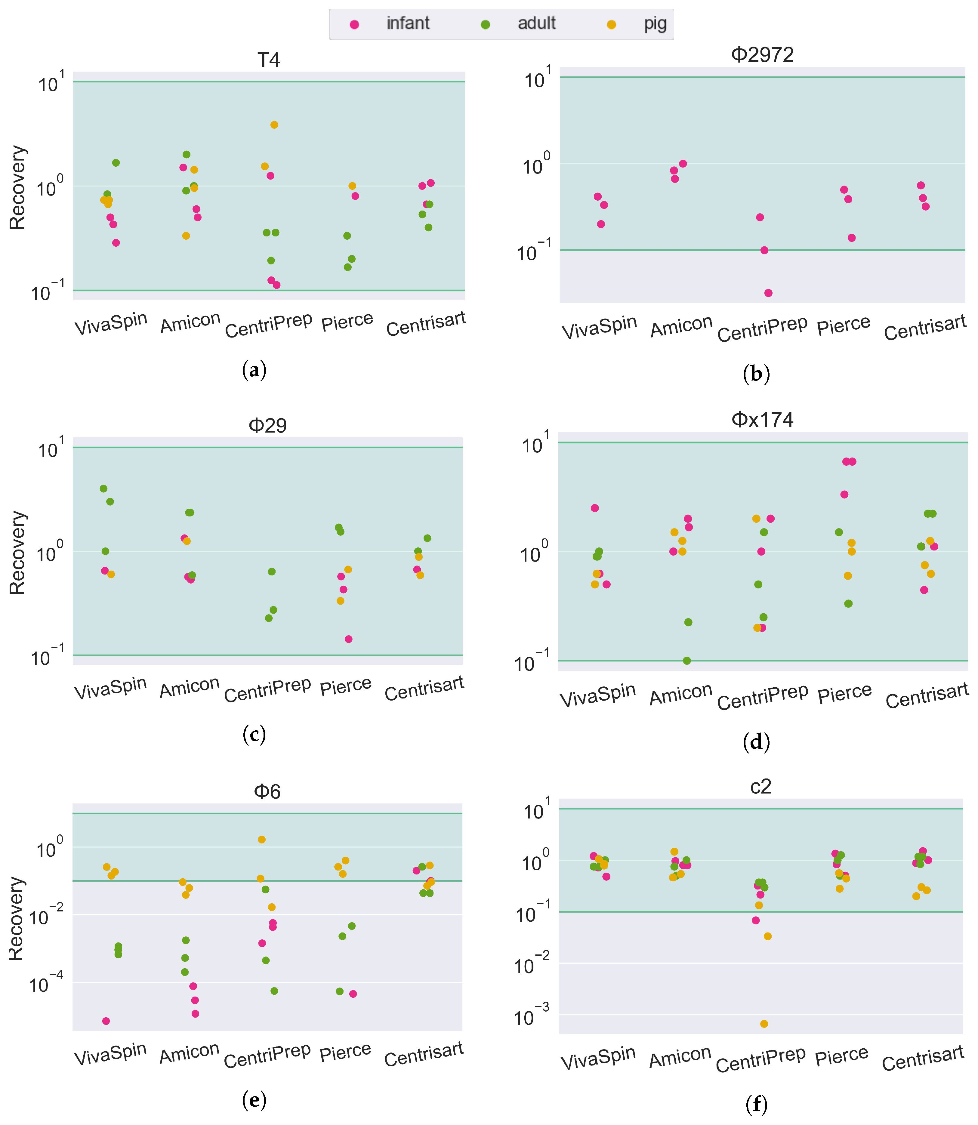 Viruses 15 02051 g004