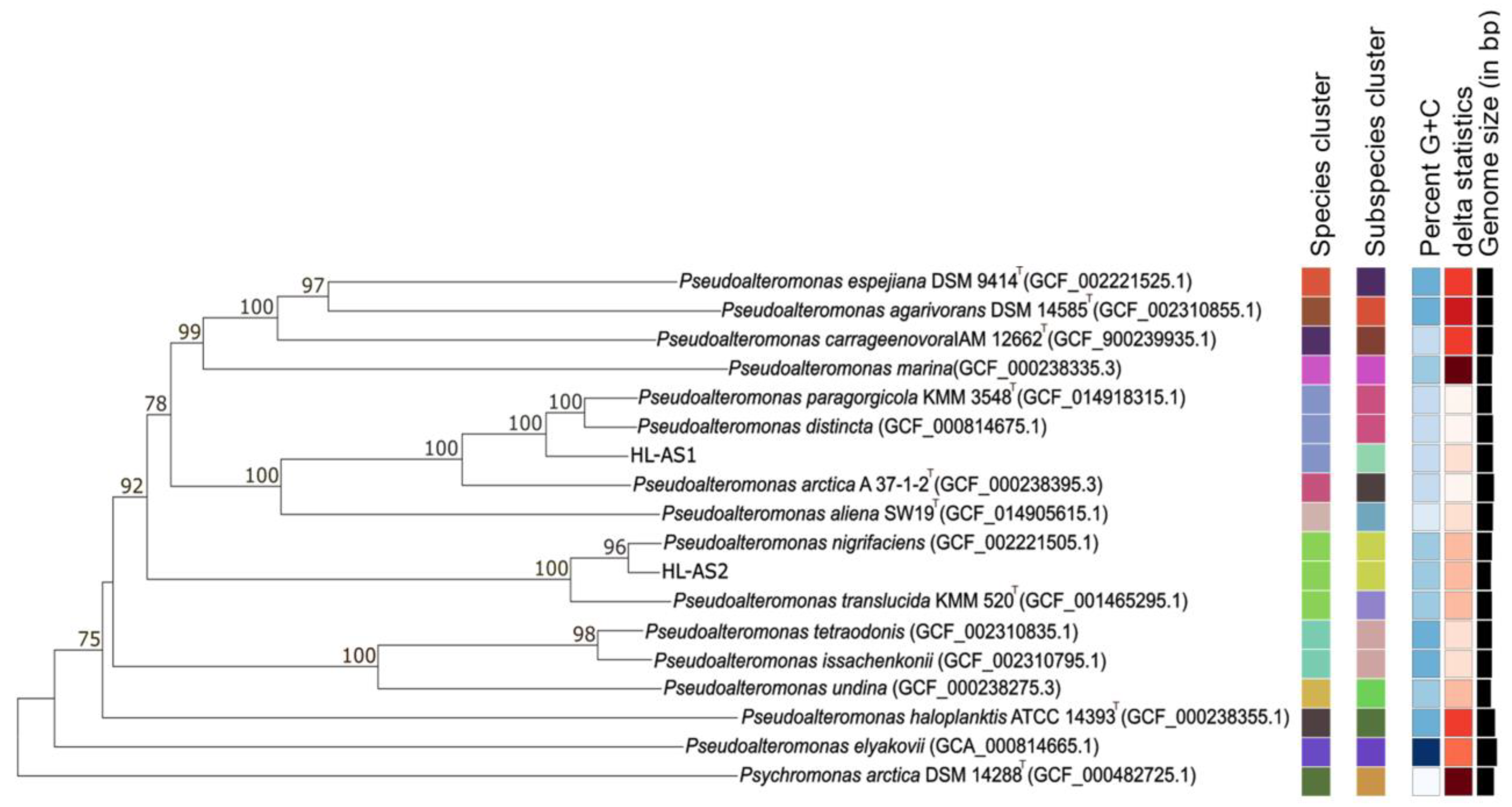 Viruses 15 02061 g002