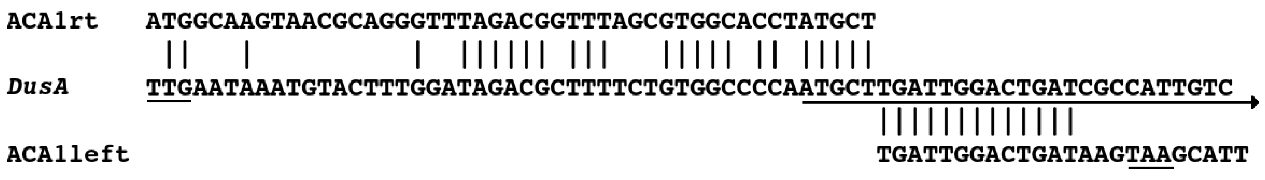 Viruses 15 02061 g003