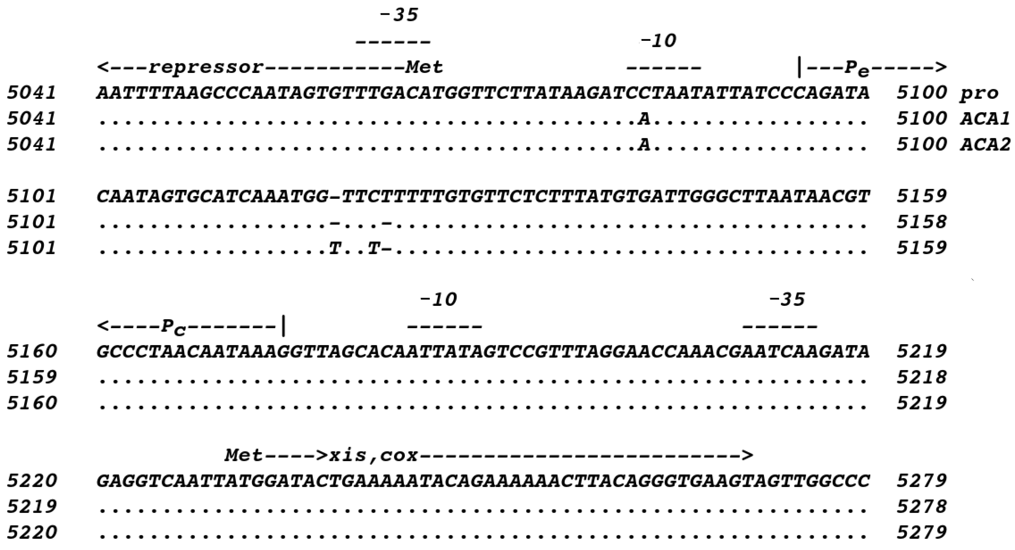 Viruses 15 02061 g004