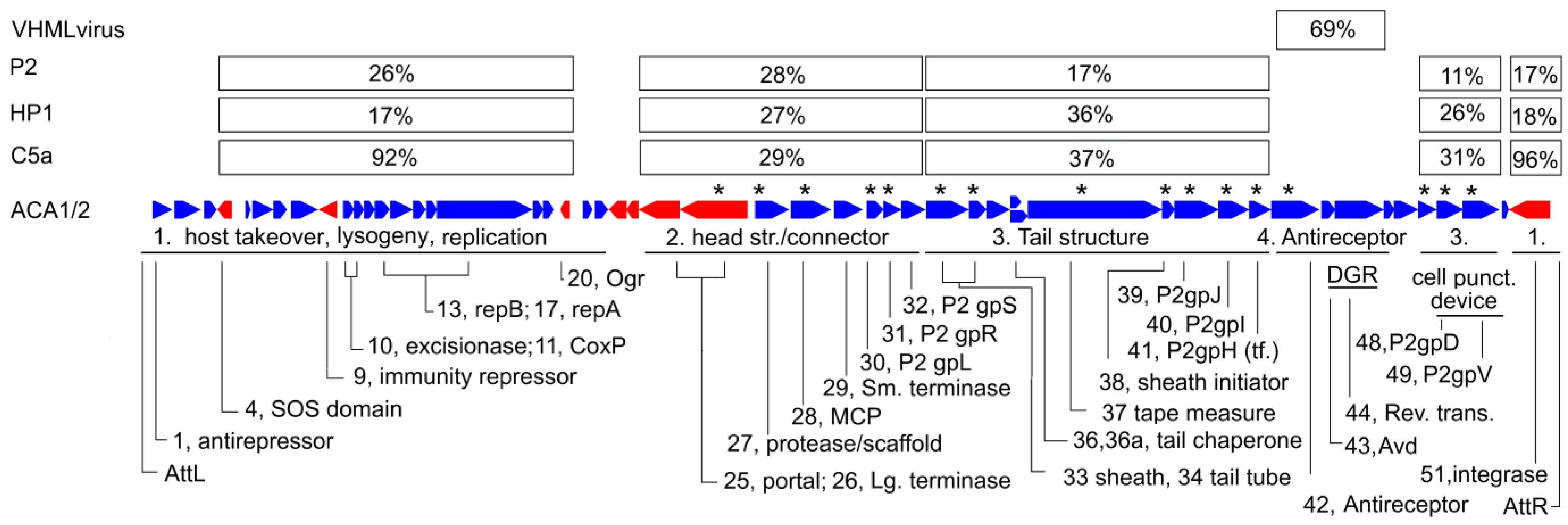 Viruses 15 02061 g005